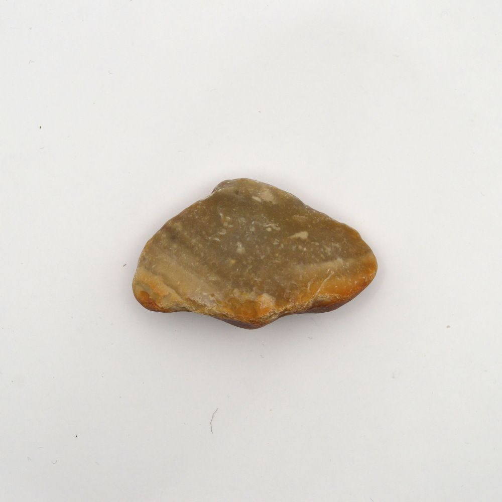 Titnagas (rusvas)
