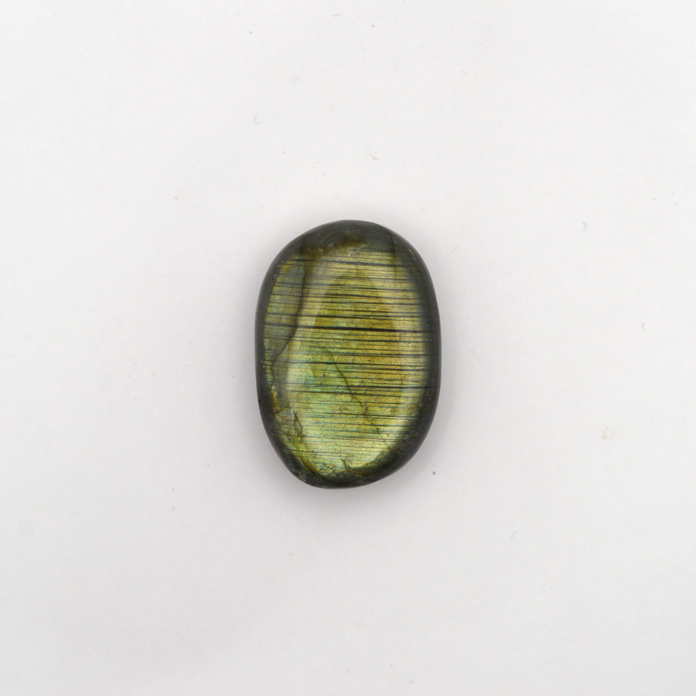 Labradoras