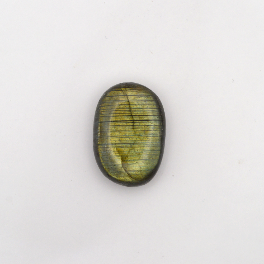Labradoras