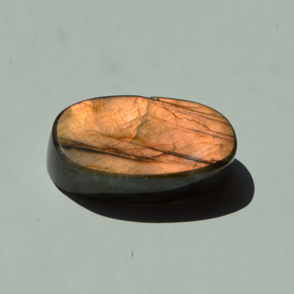 Labradoras