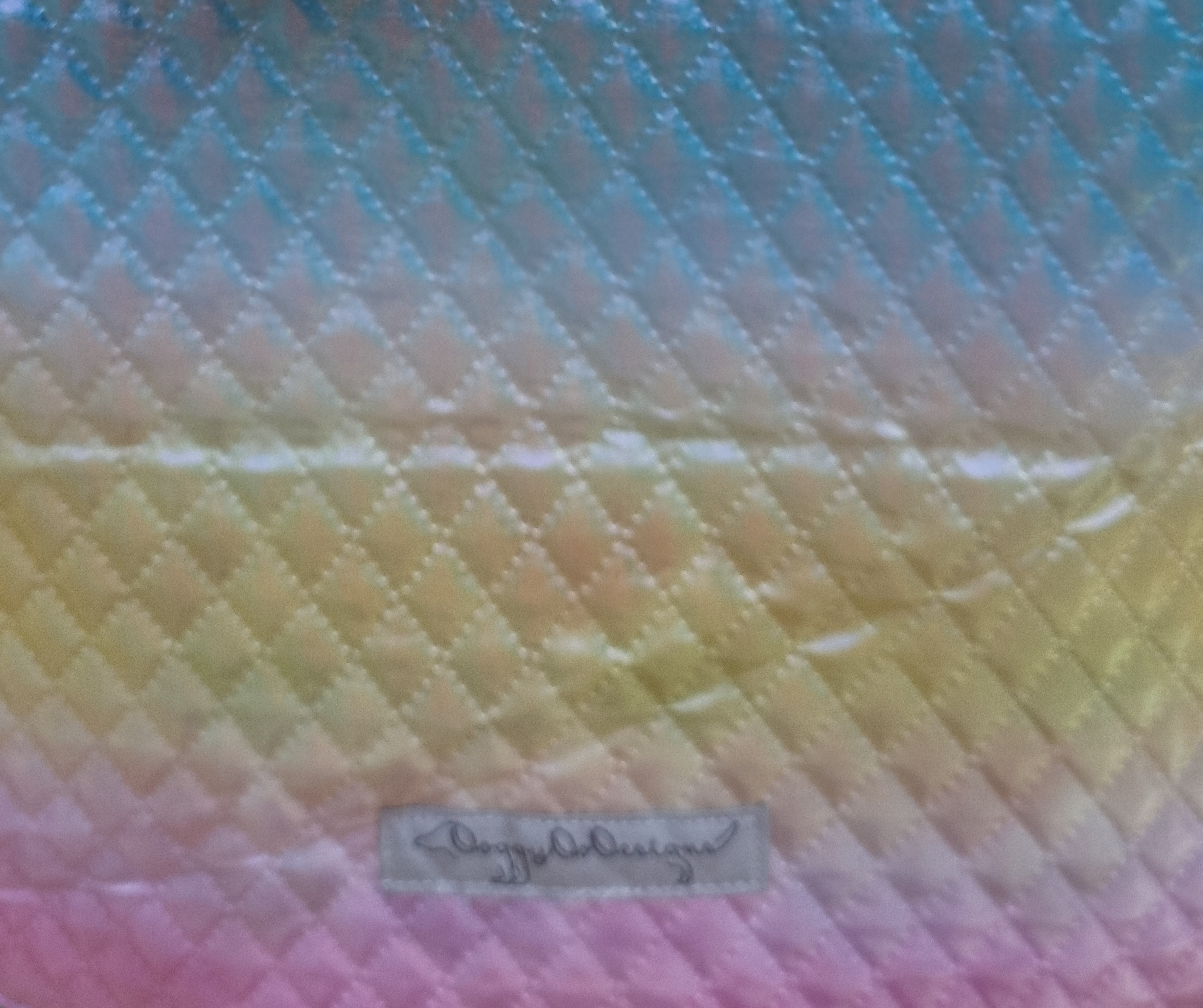 Doggy Hoody - Shimmery Pastel Rainbow