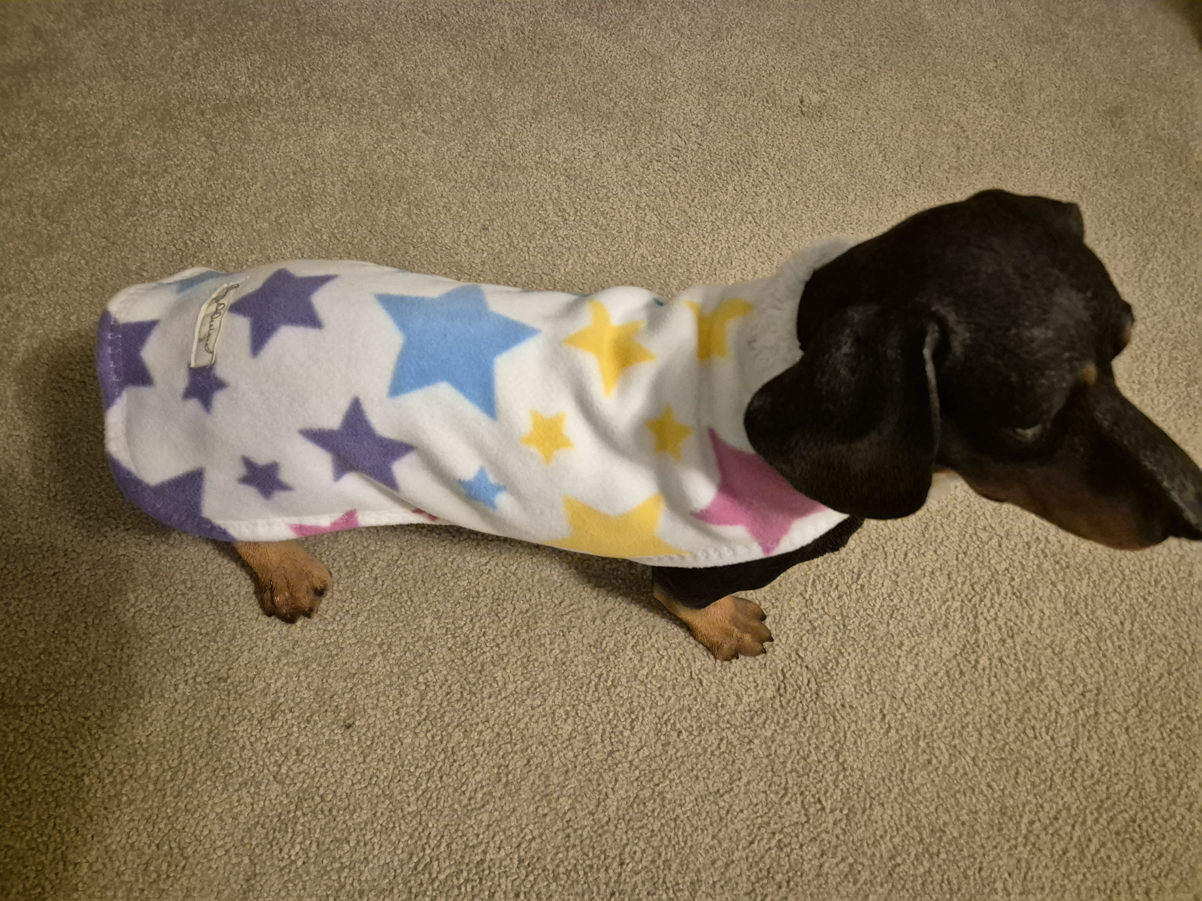 Cozy Sherpa lined Starry Coat