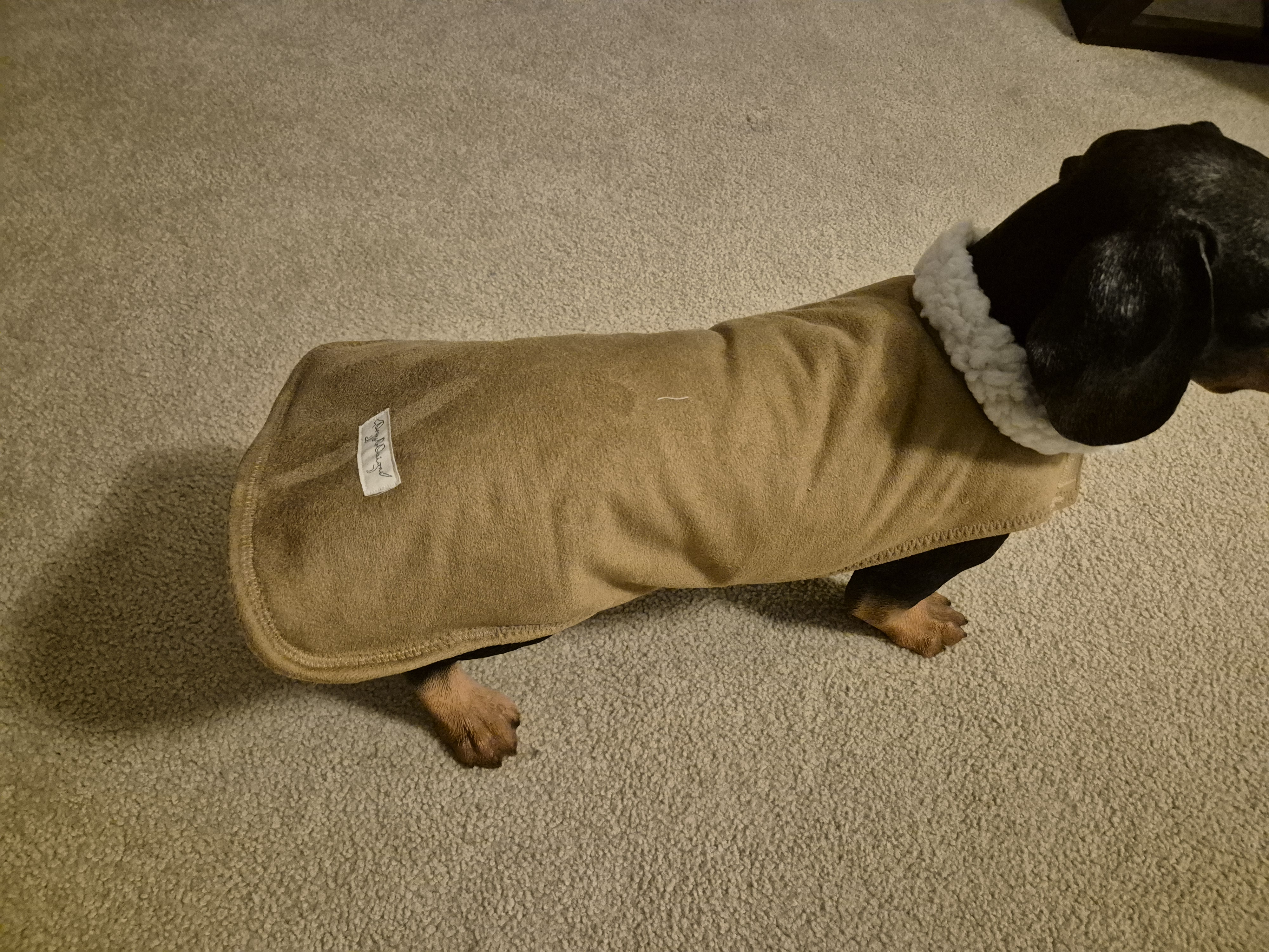Cozy Sherpa lined Tan Suede-like Coat
