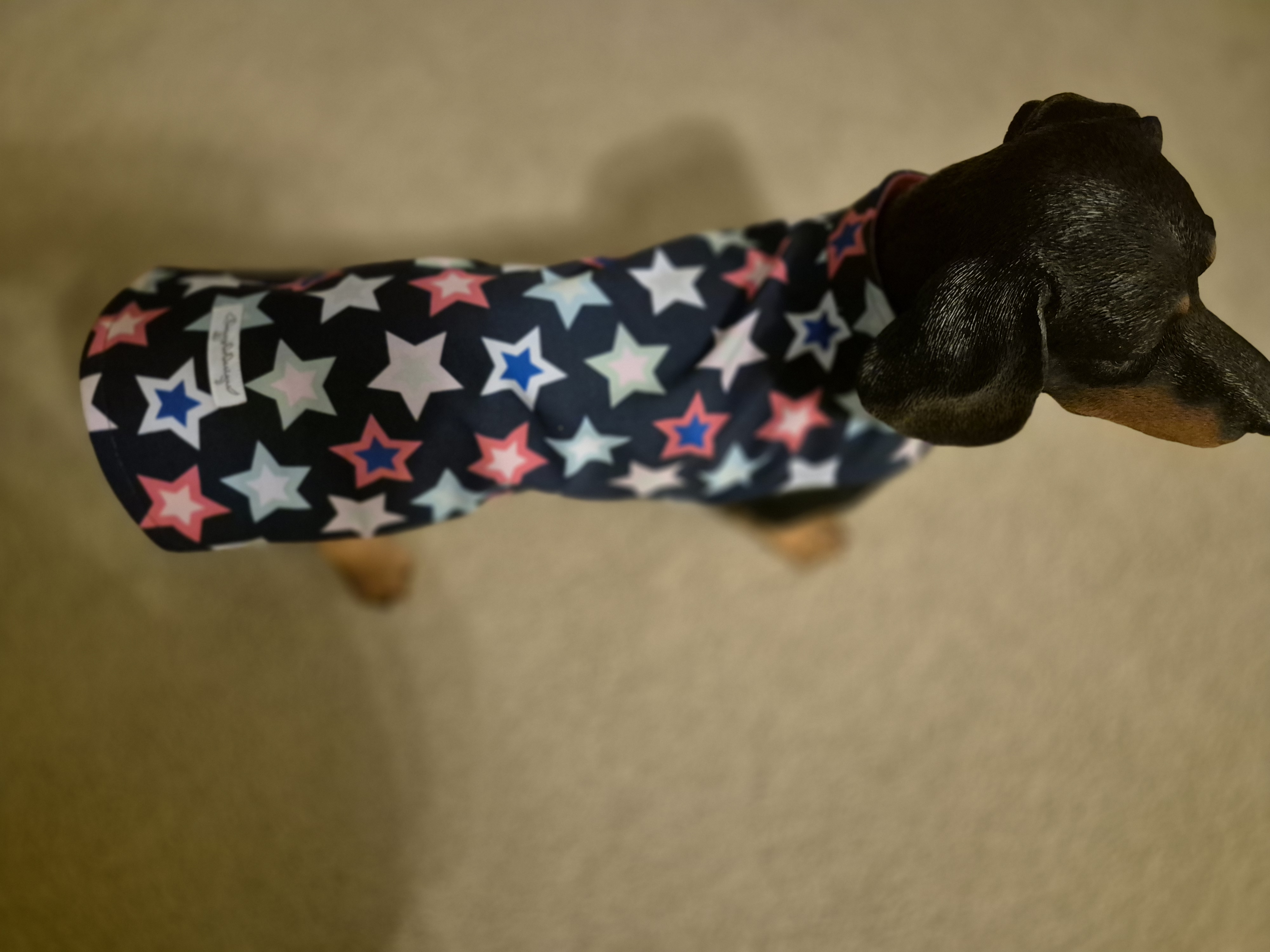 Bright Stars on Navy Water Resistant fleece lined coat
