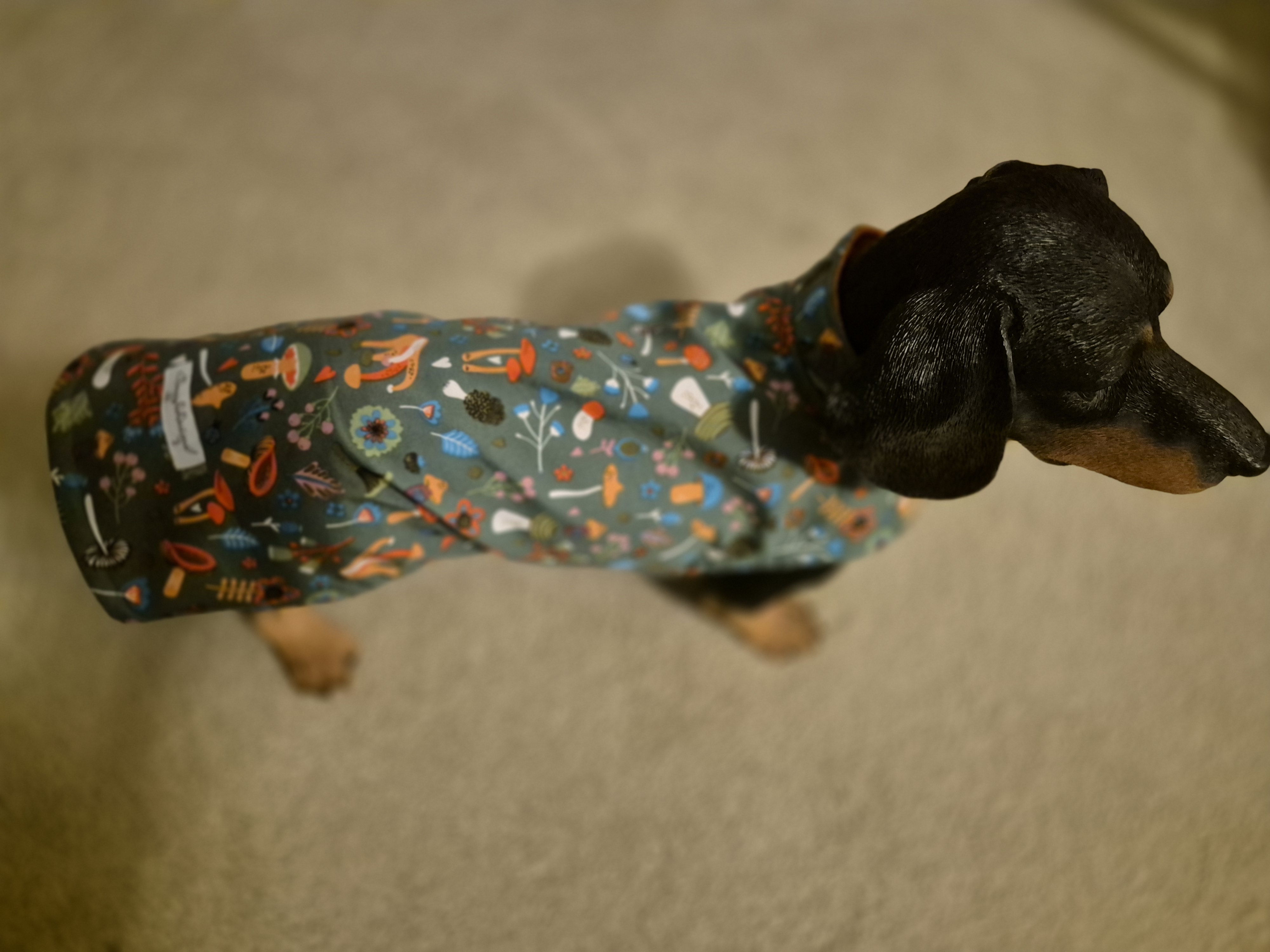 Fun Mushroom Design Water Resistant fleece lined coat