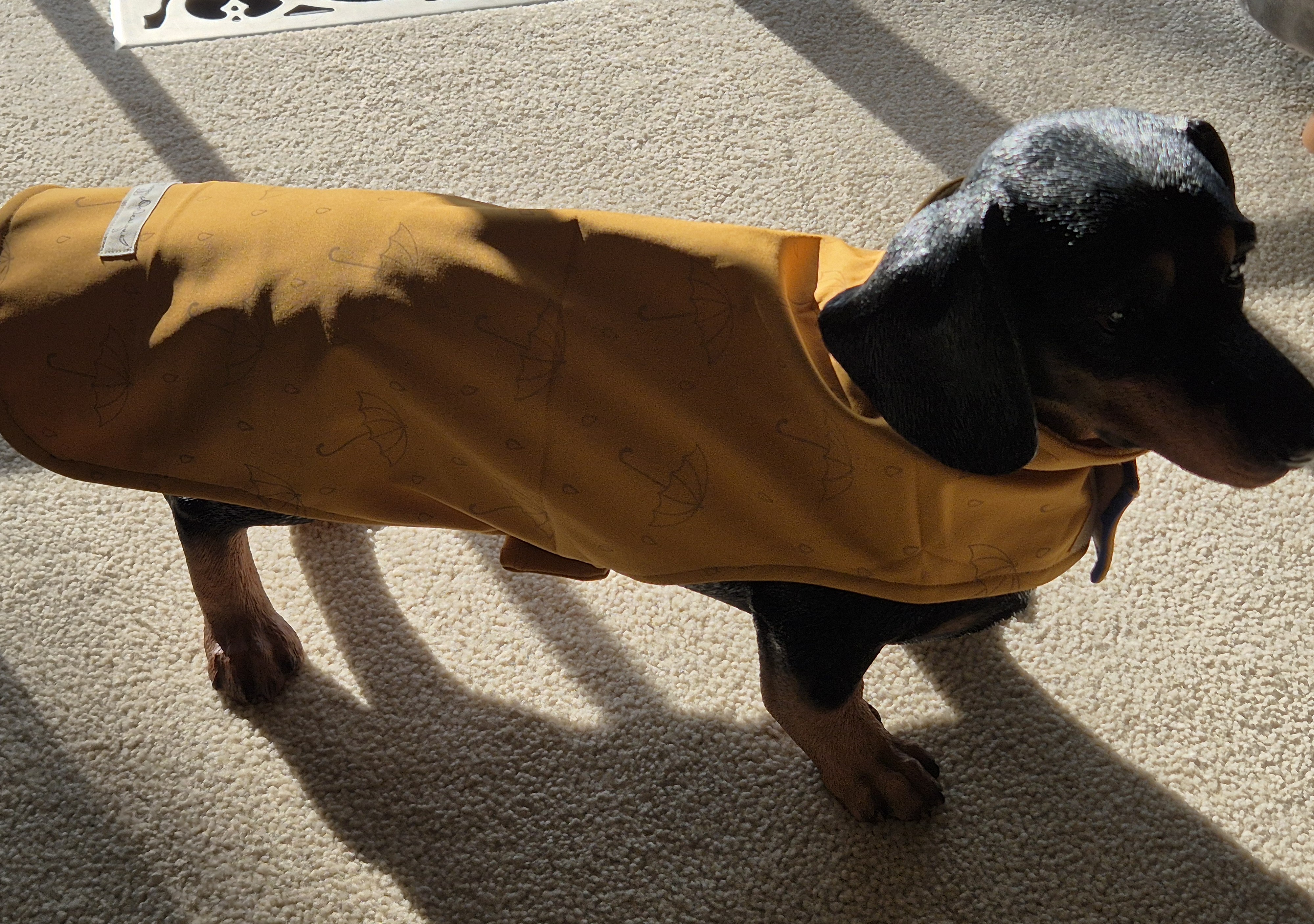  Shining Brollys Water Resistant fleece lined coat