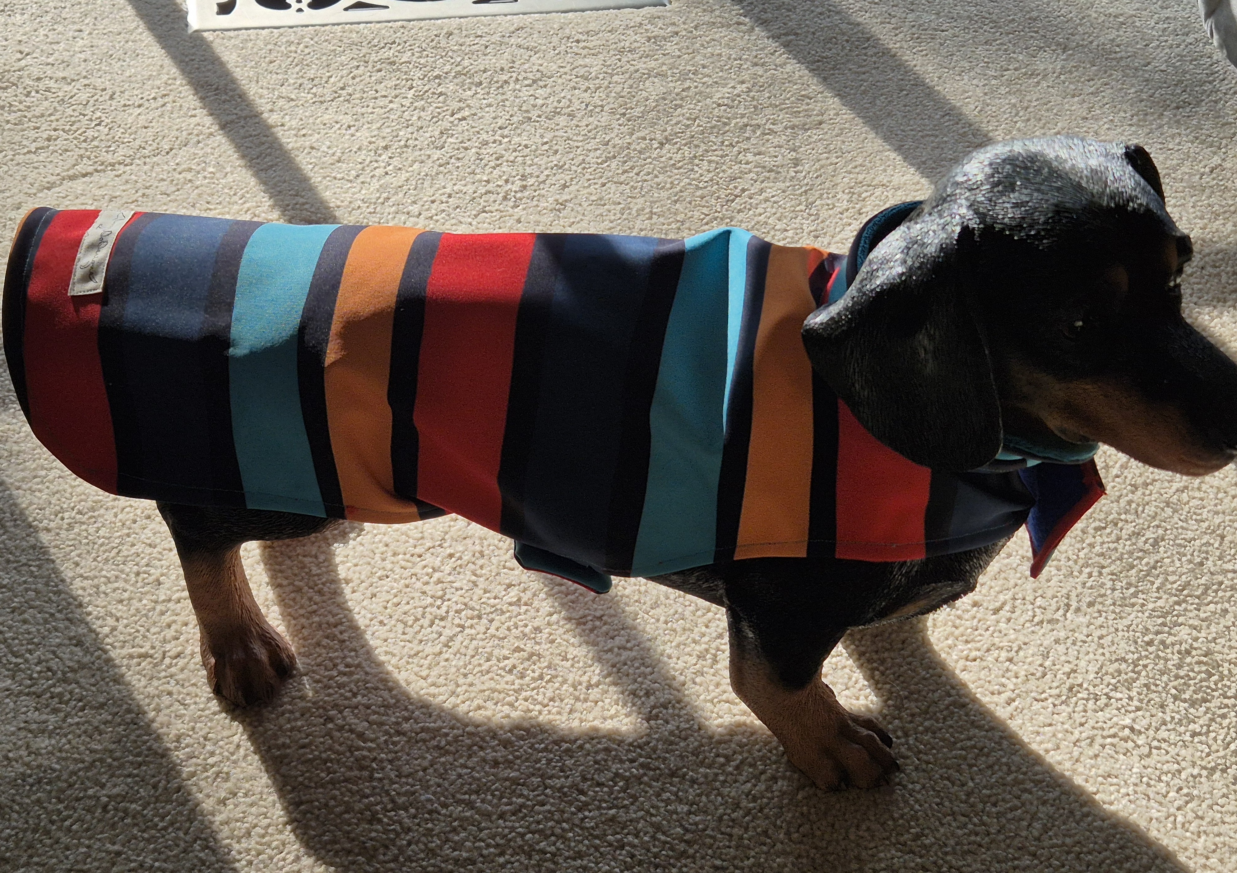 Bright Stripes Water Resistant fleece lined coat