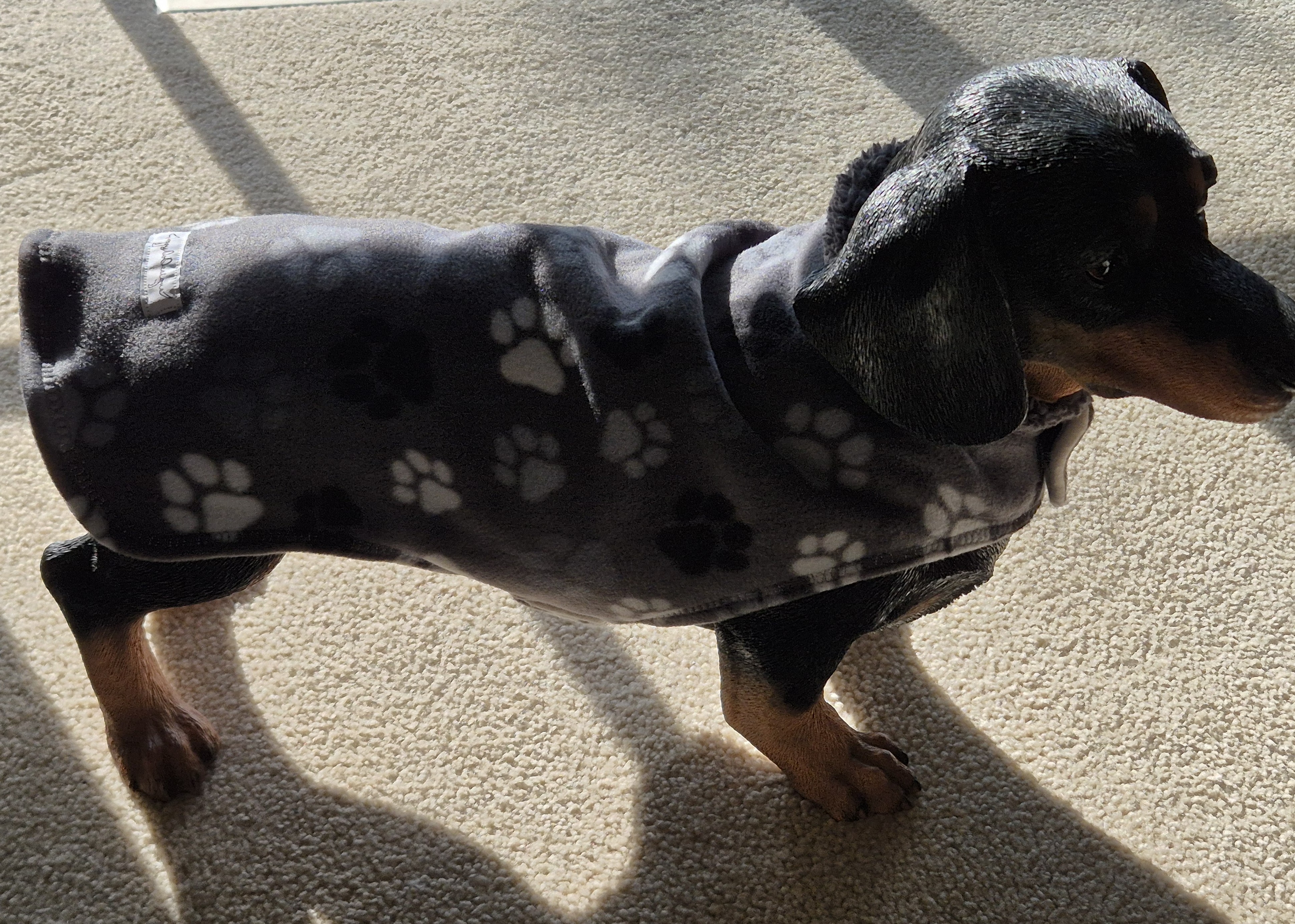 Cozy Sherpa lined Paw Print Coat