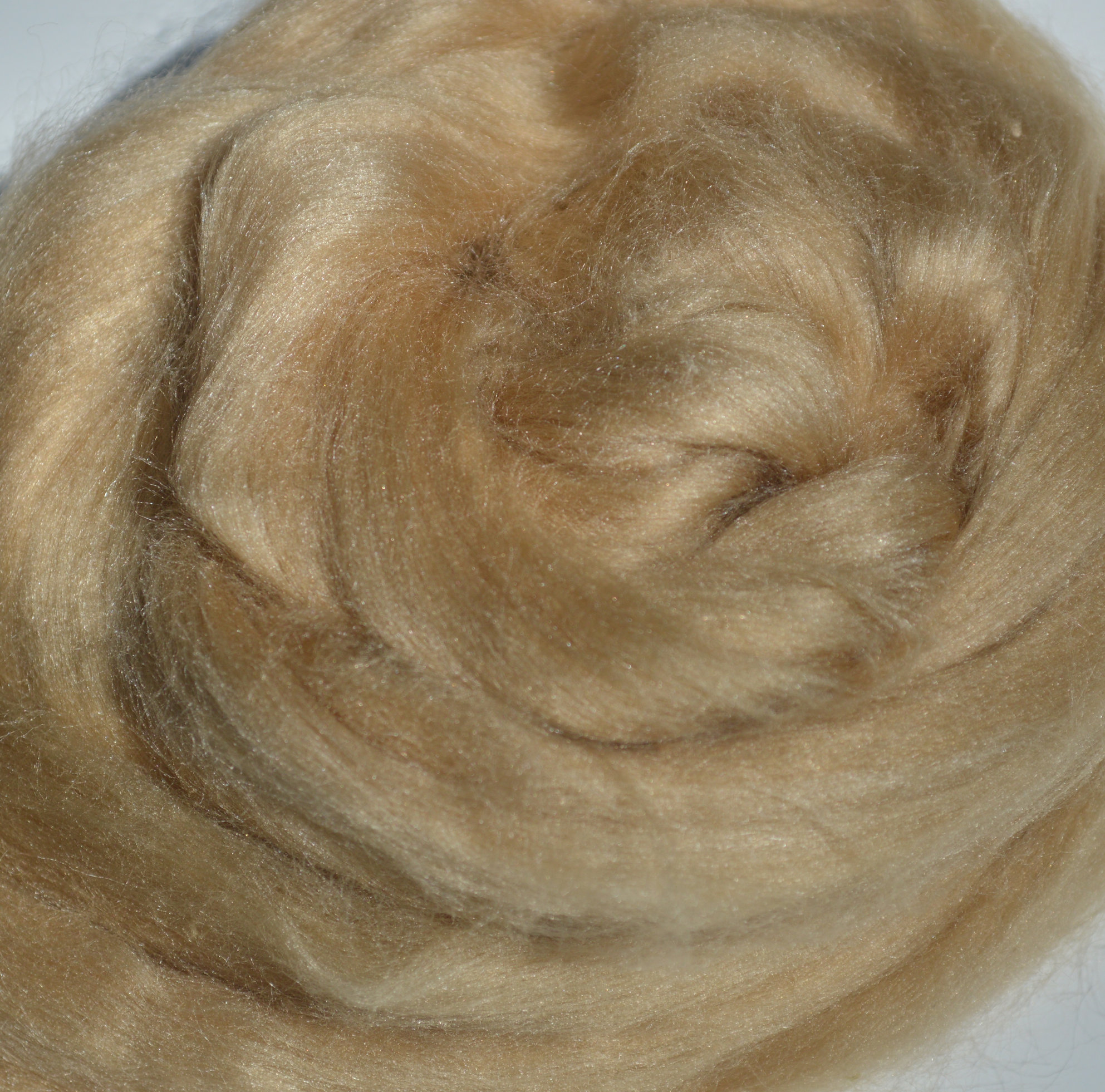 Tussah silk roving, tops, sliver, beige, spinning, felting silk fiber, 1oz 