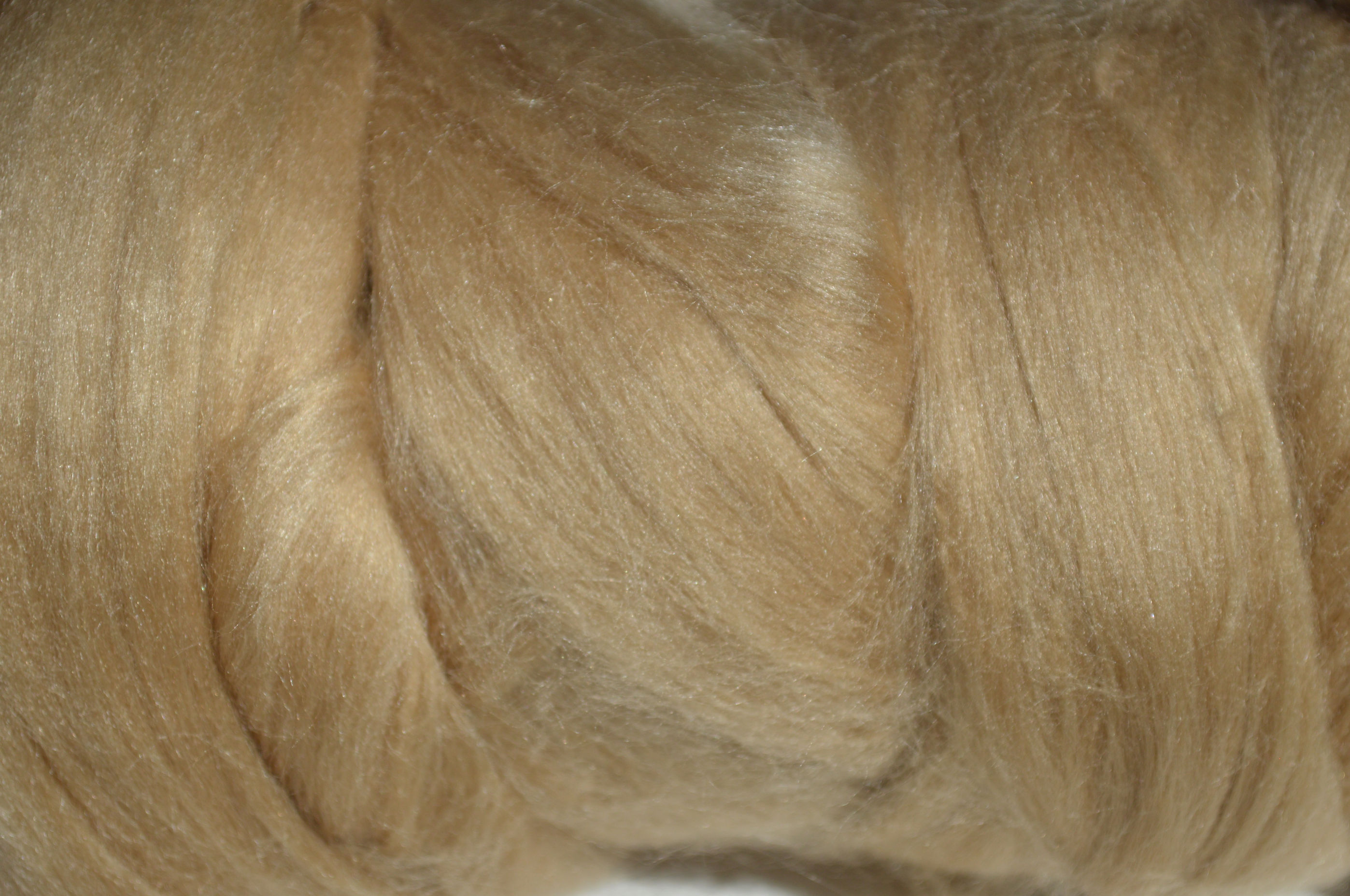 Tussah silk roving, tops, sliver, beige, spinning, felting silk fiber, 1oz 