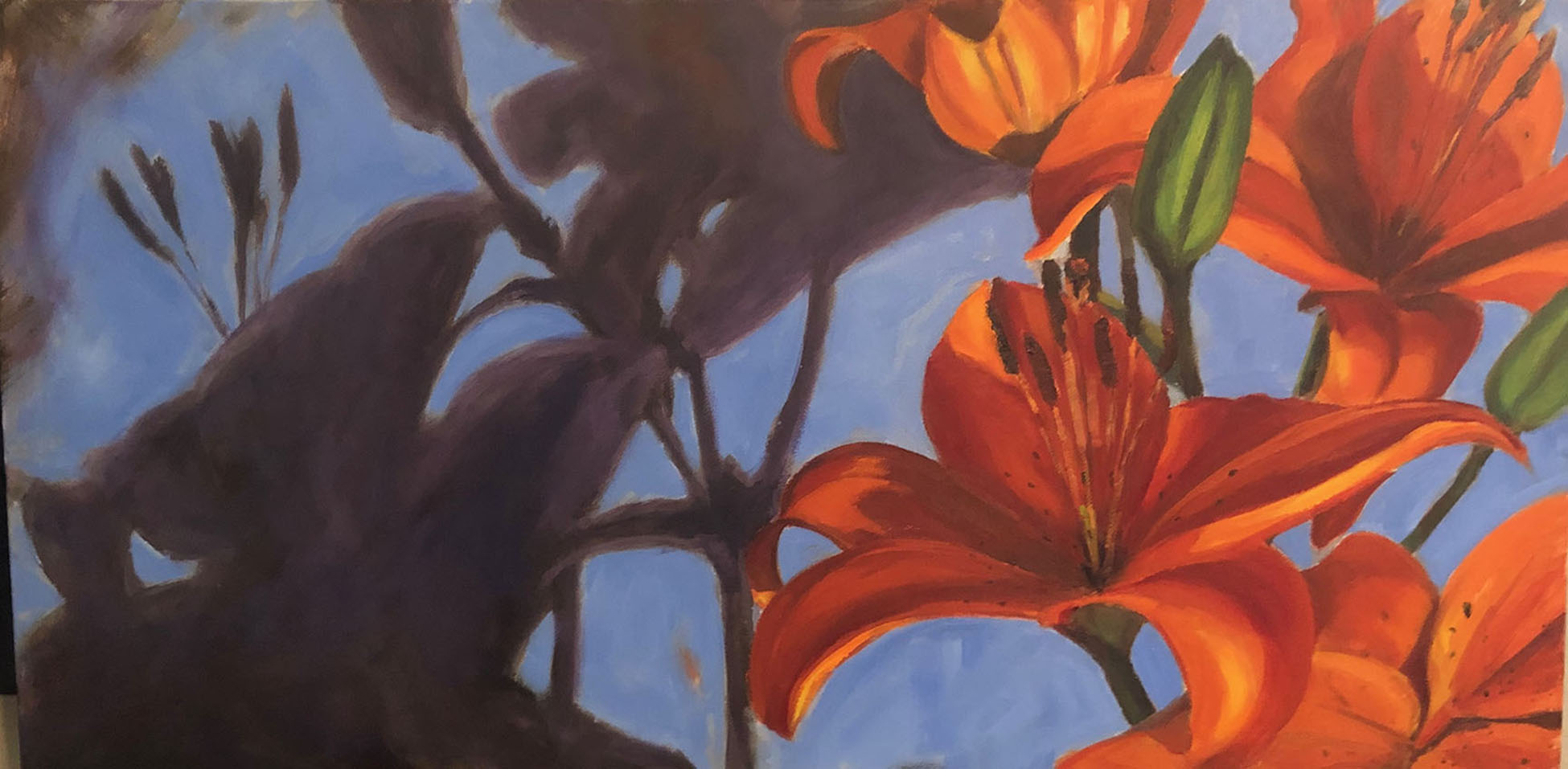 Orange bloom with shadow