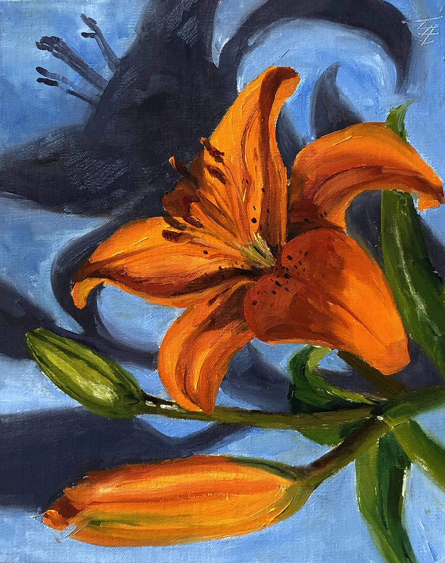 Orange lilies with shadow