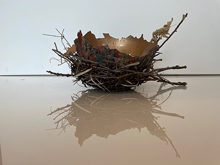Nest