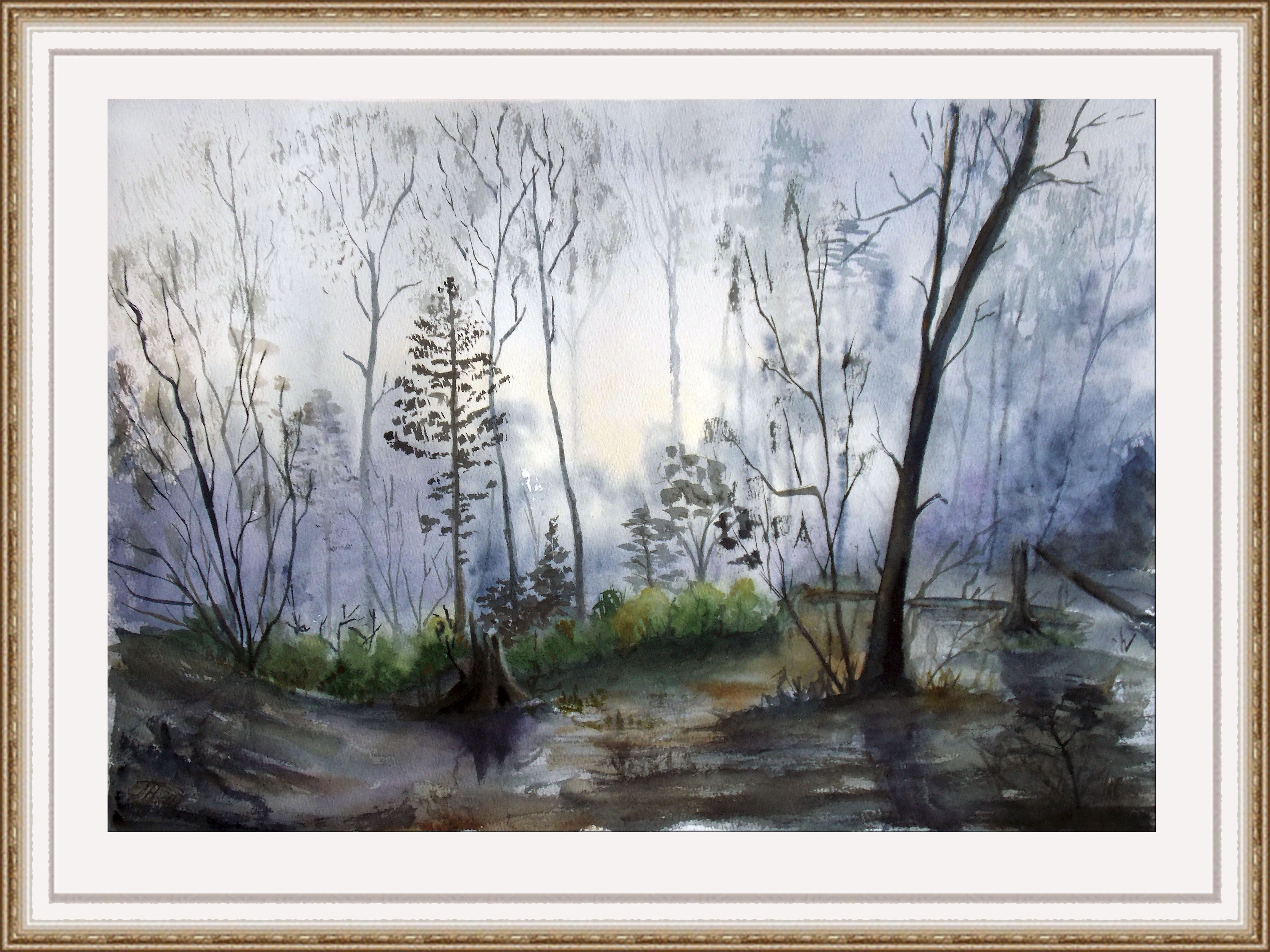 Morning in the forest