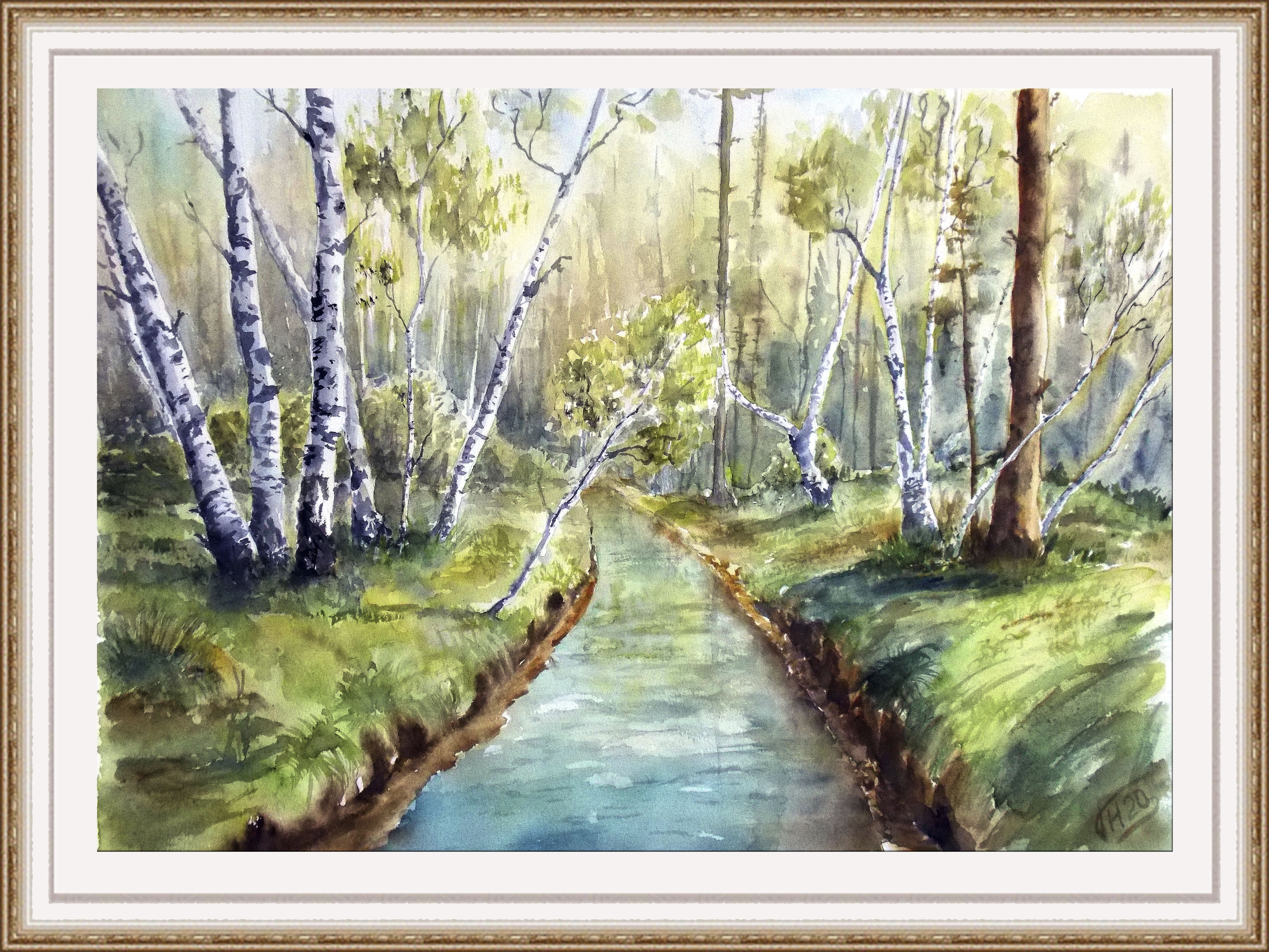 Birch forest