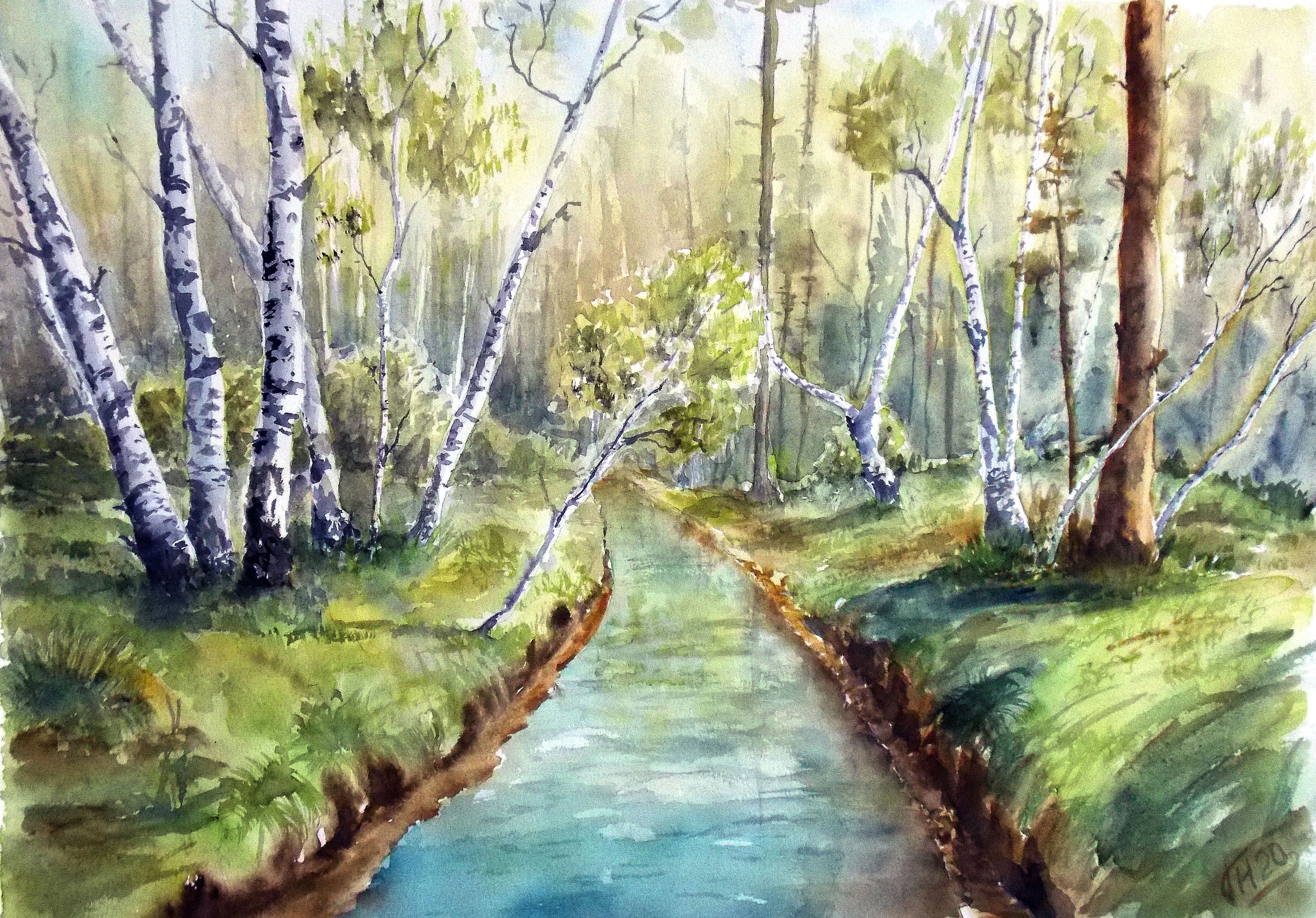 Birch forest