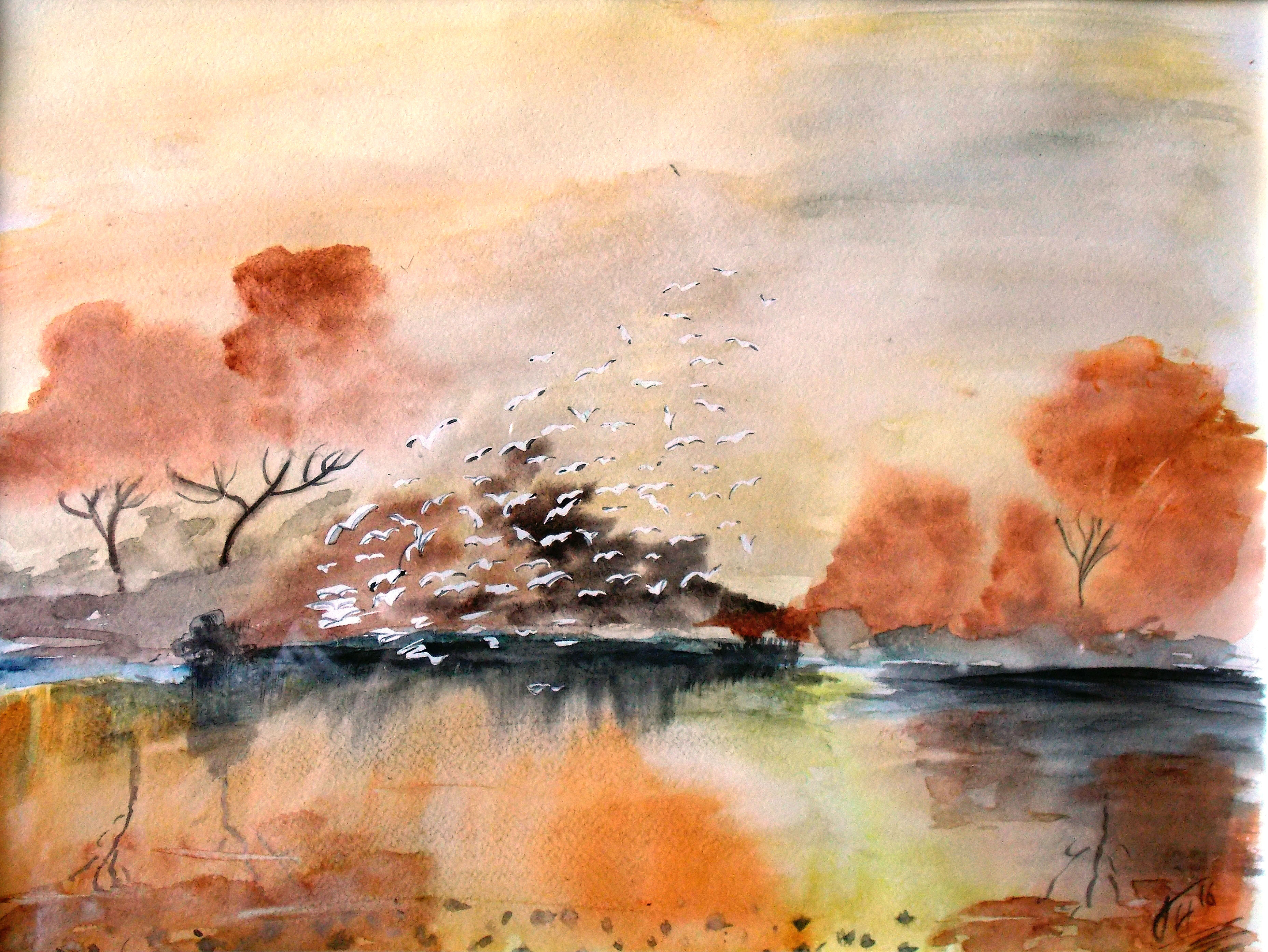 Autumn flock