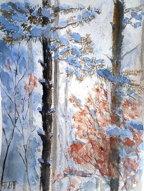 Winter Landscape 