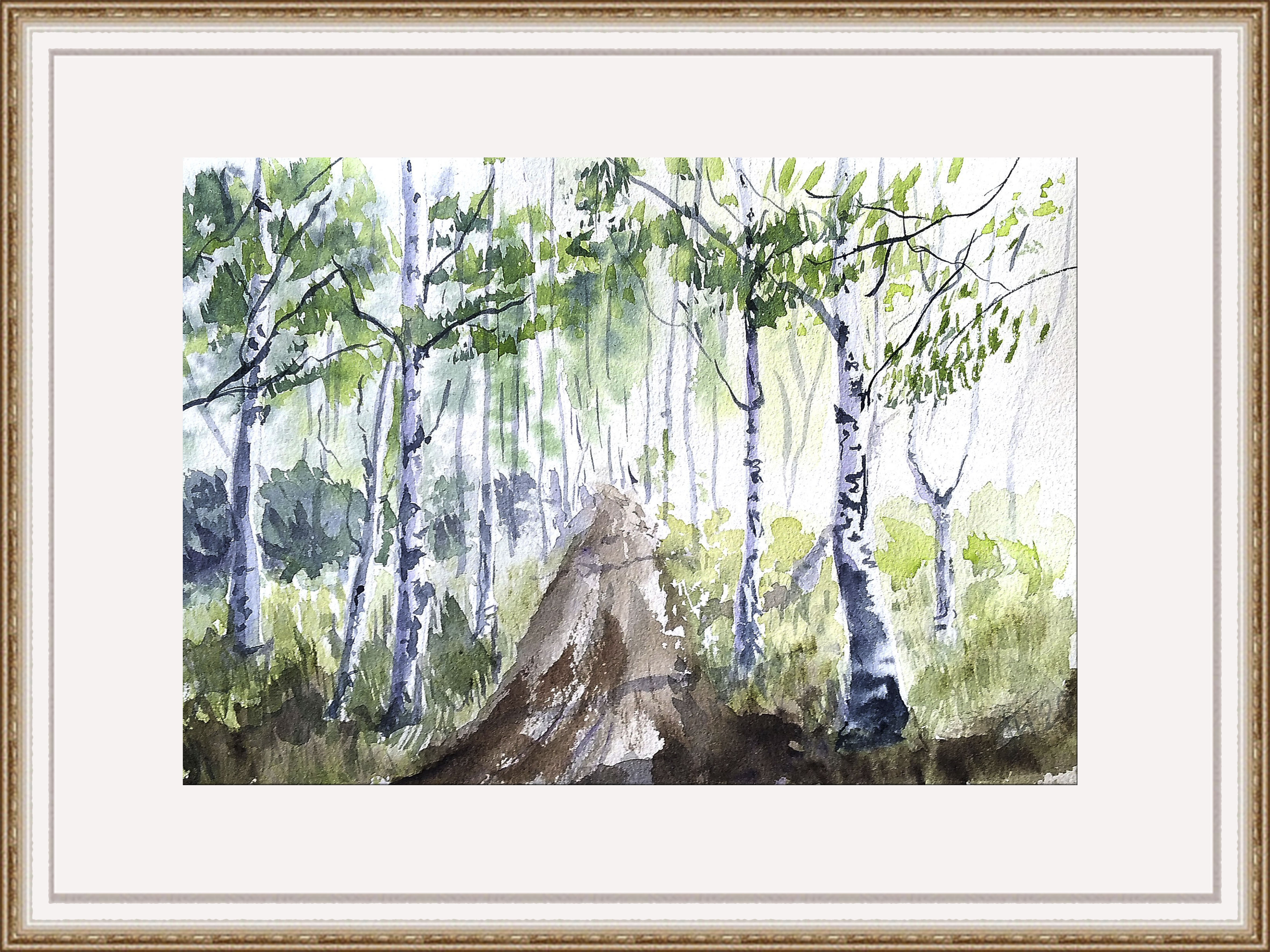 Landscape # 13 Birch grove