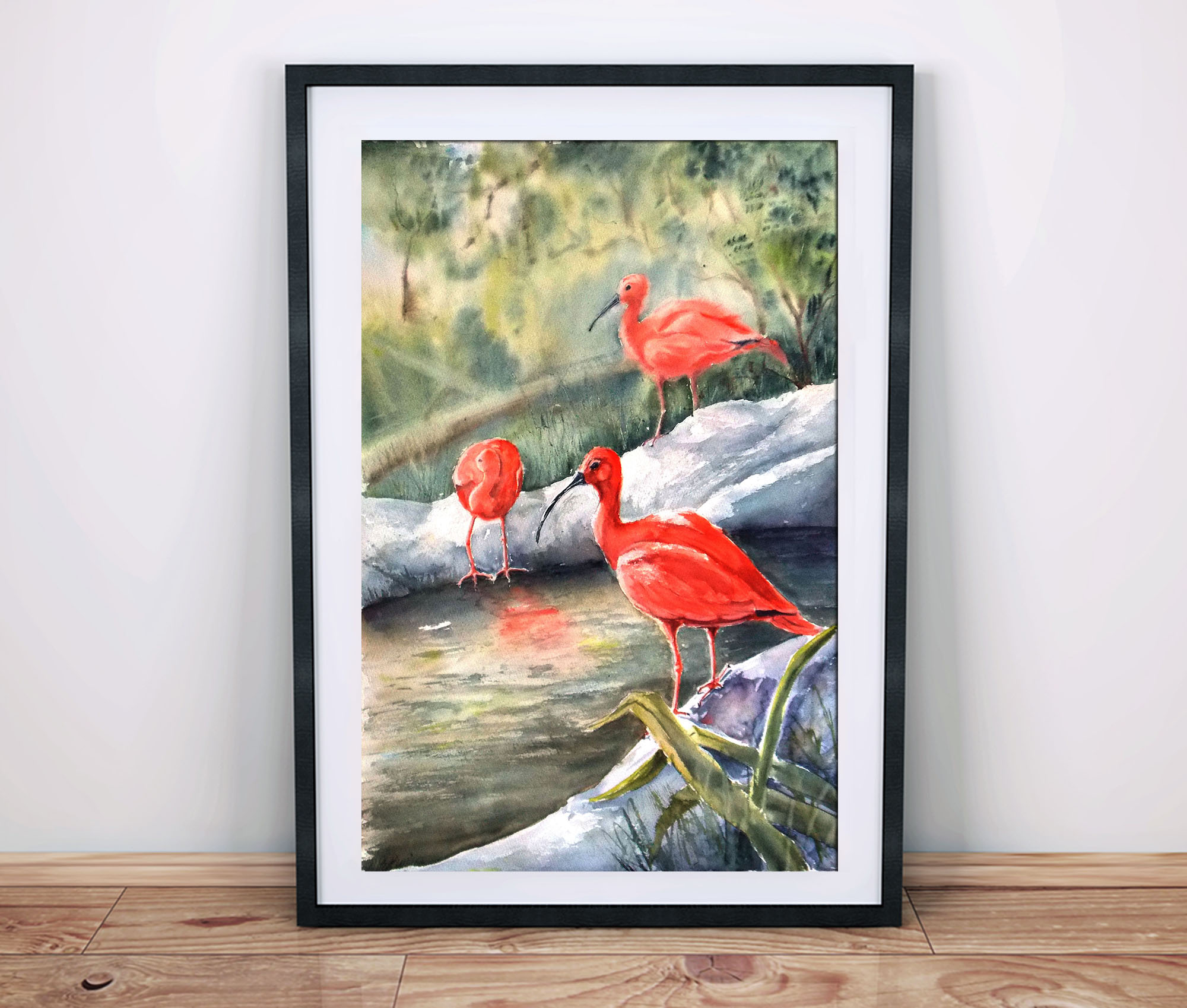 Red ibises