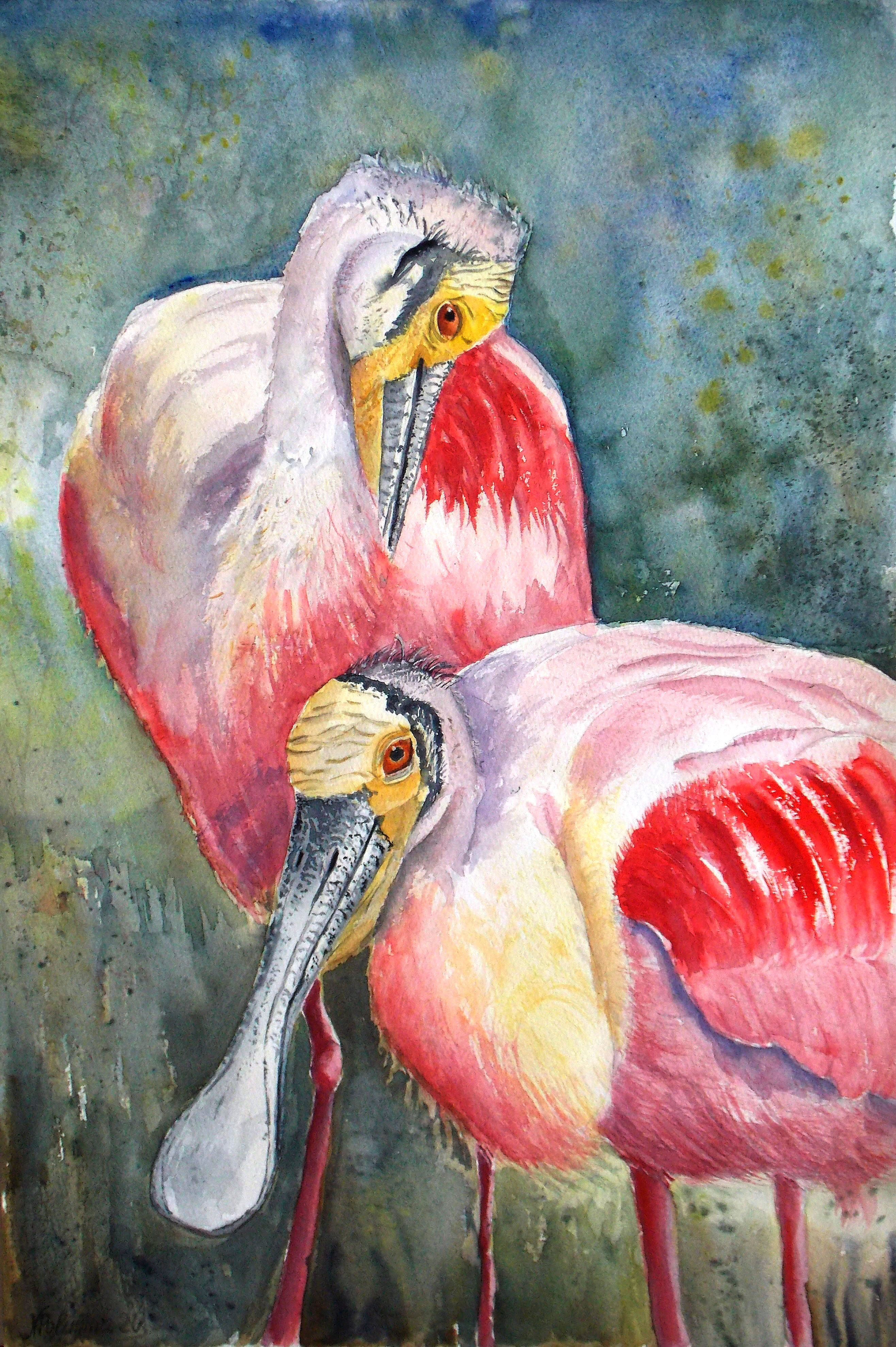Roseate Spoonbill