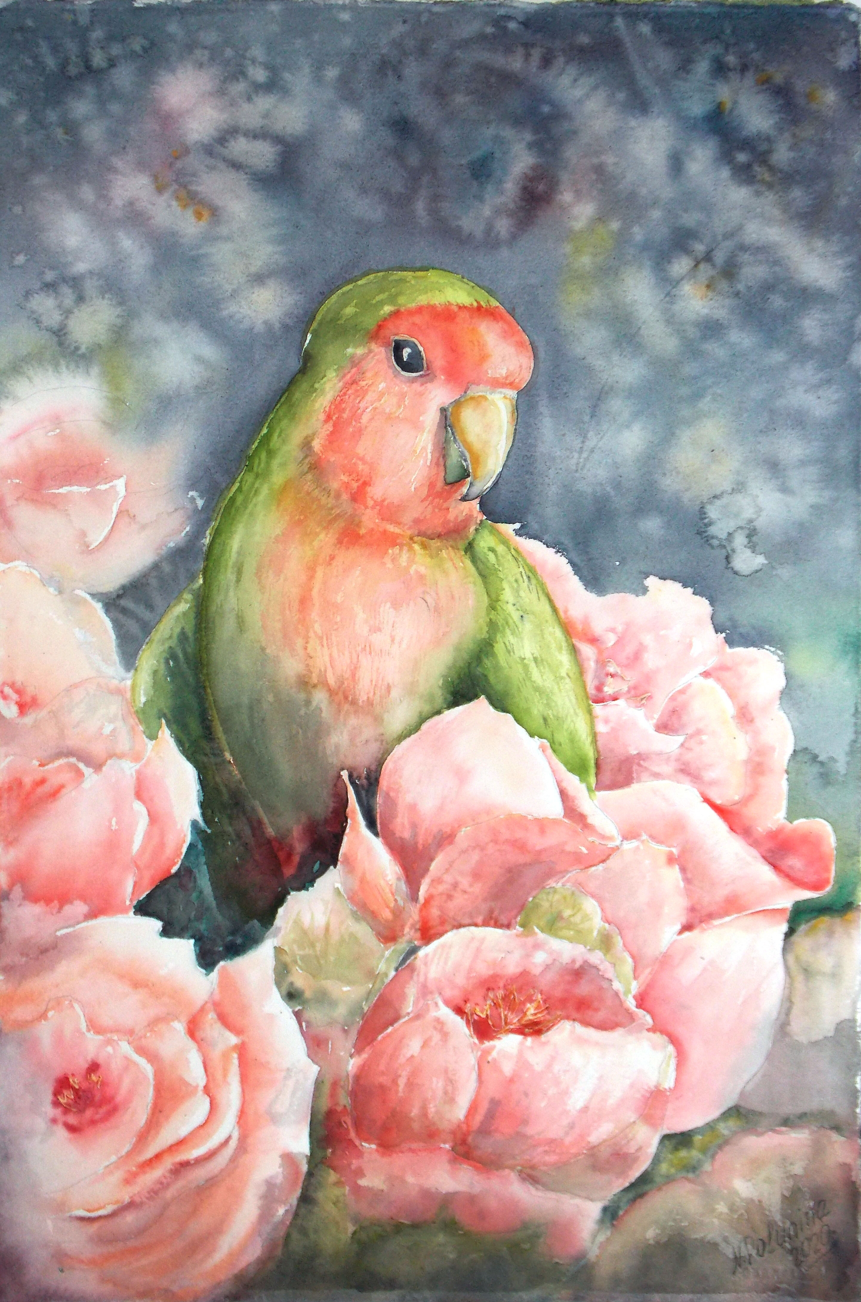 Parrot