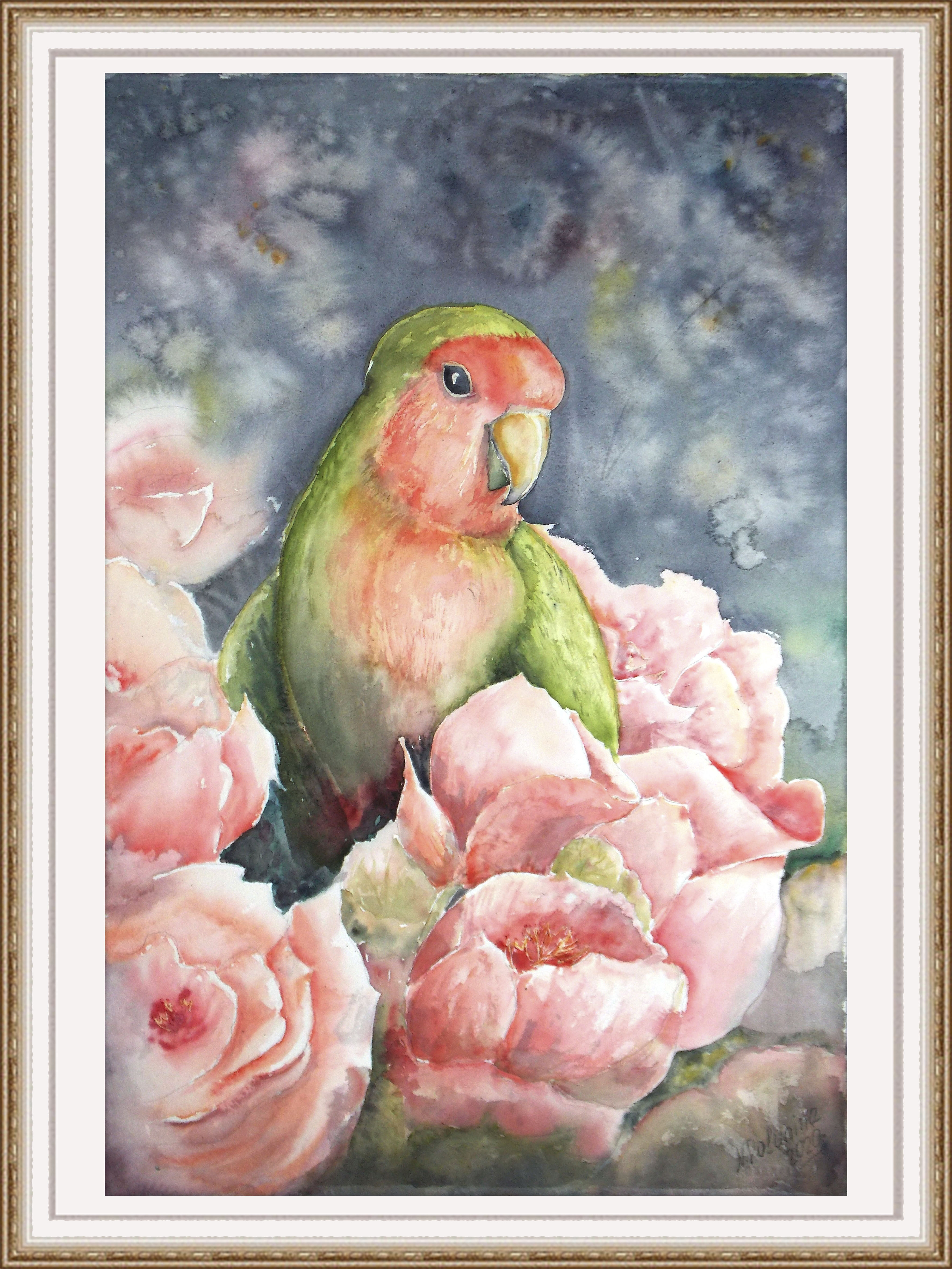 Parrot