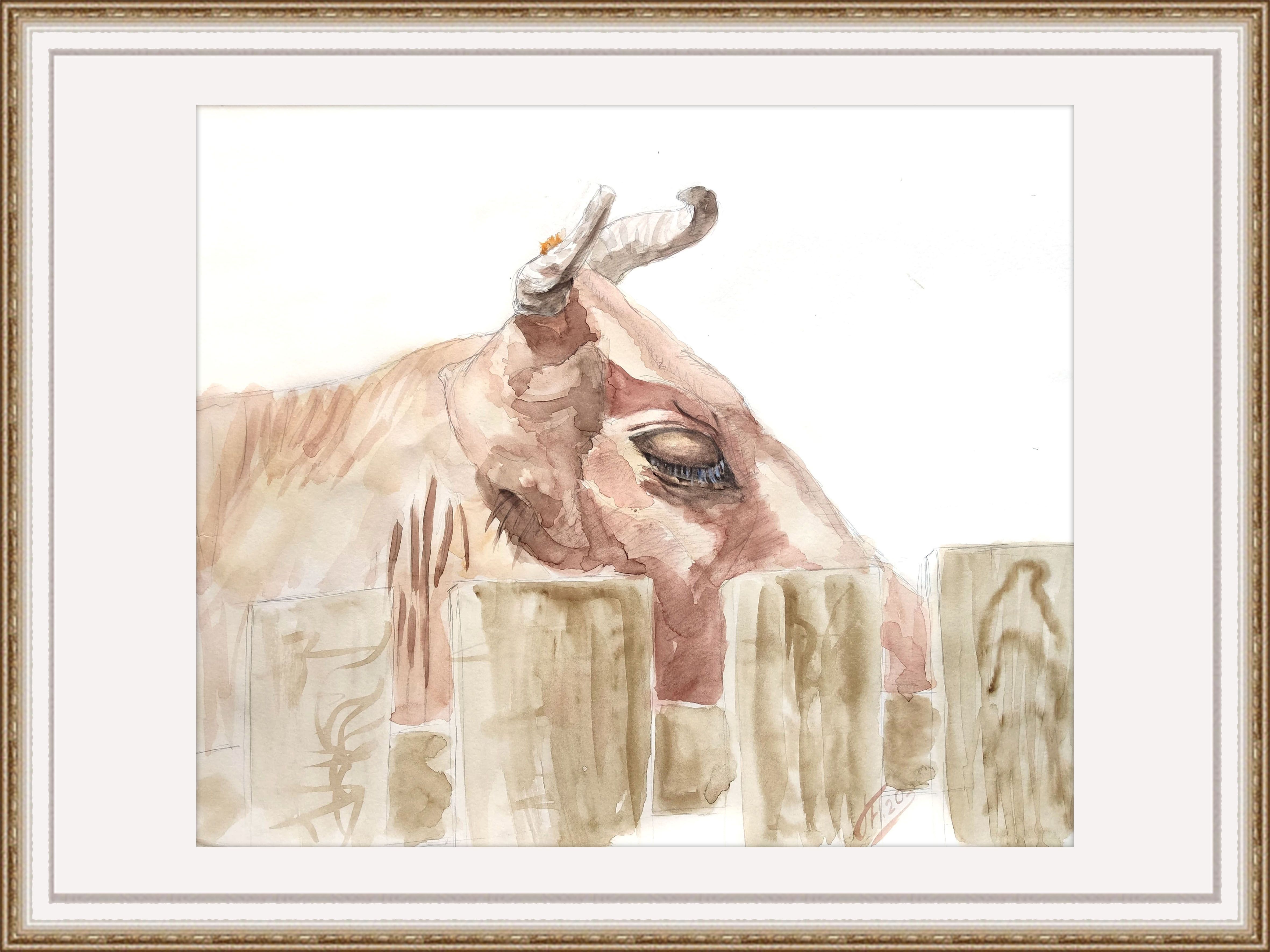 Just a cow