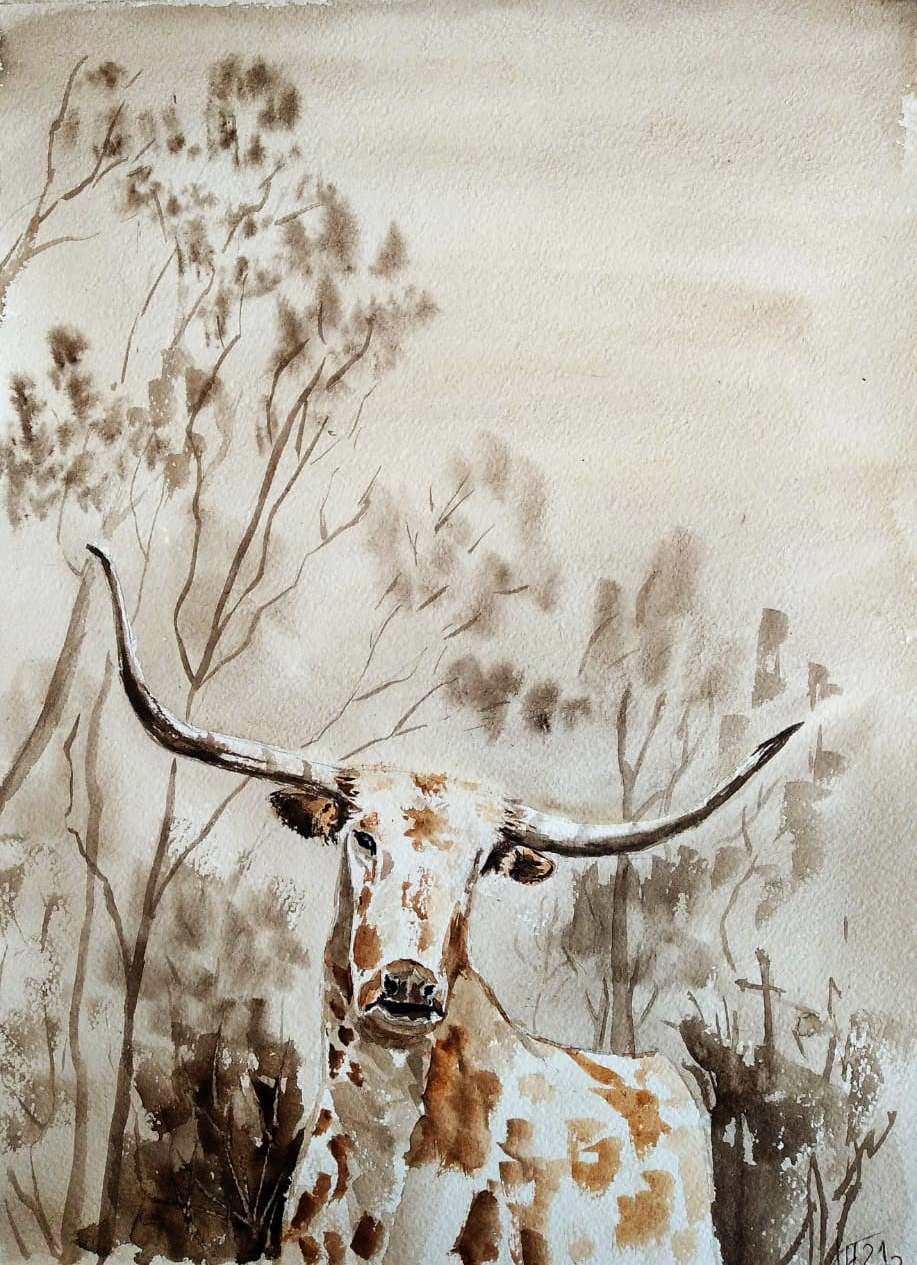 Texas Longhorn 2