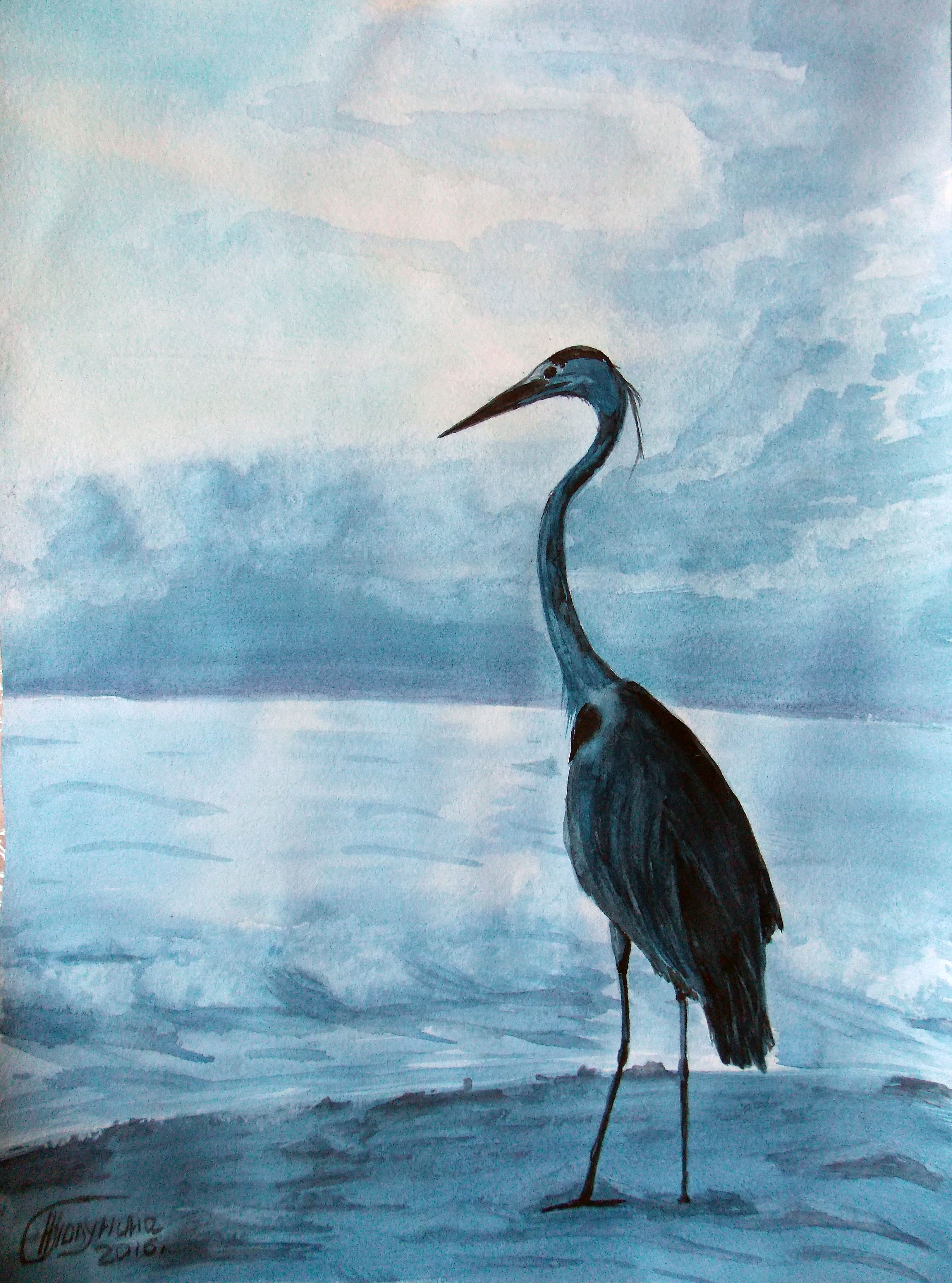 Seeing off the evening, Herons