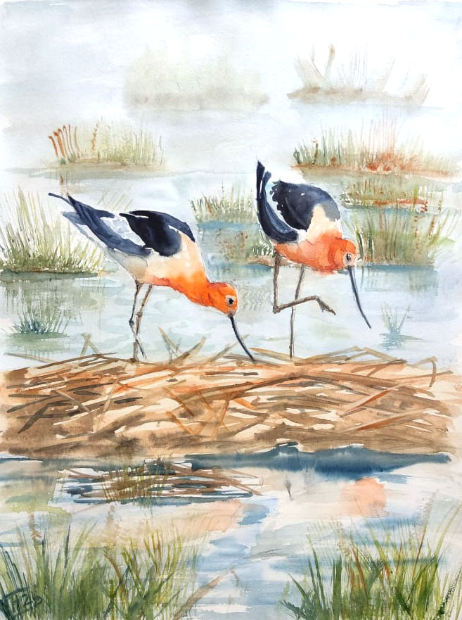 Birds in the swamp