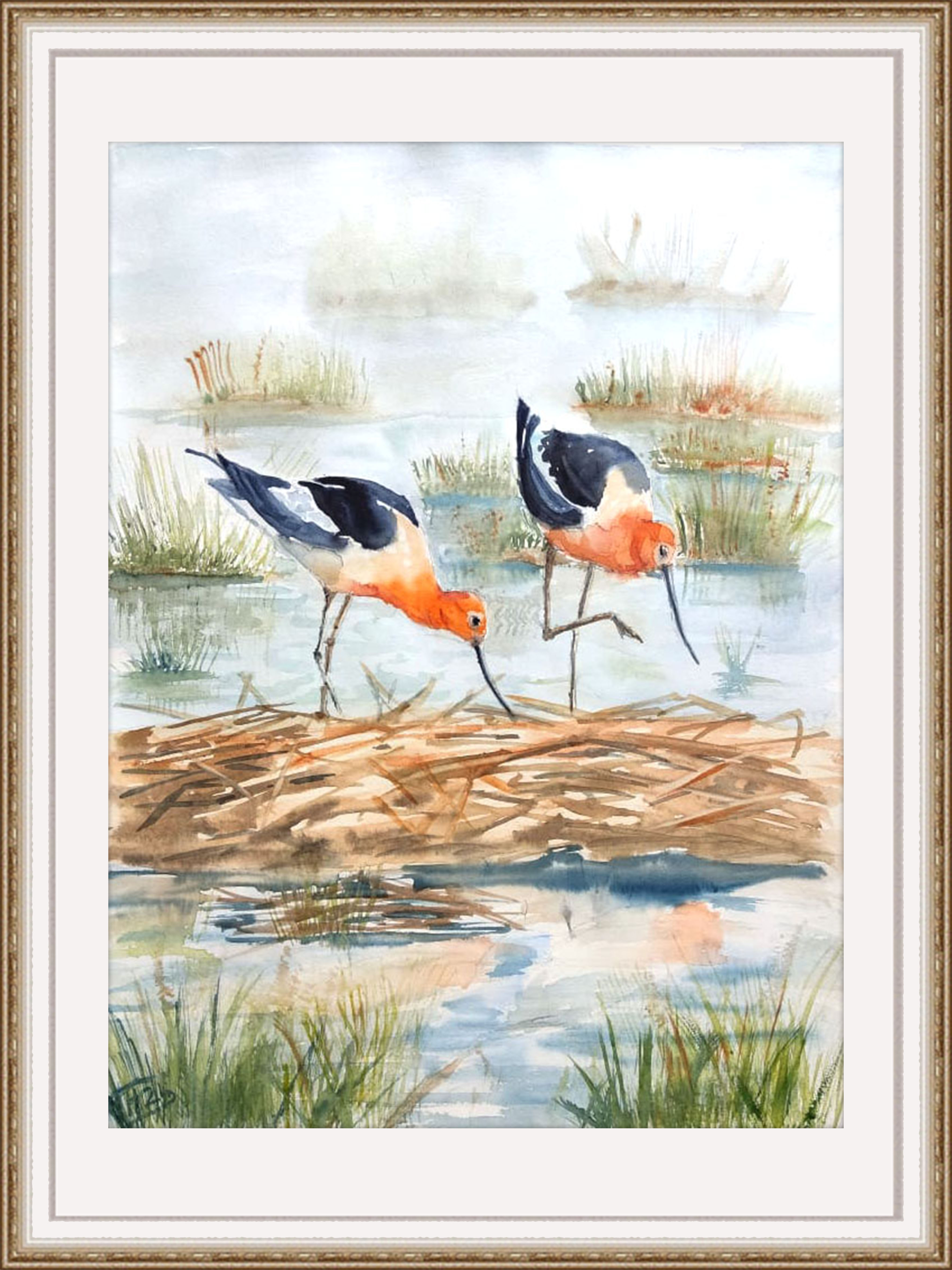 Birds in the swamp