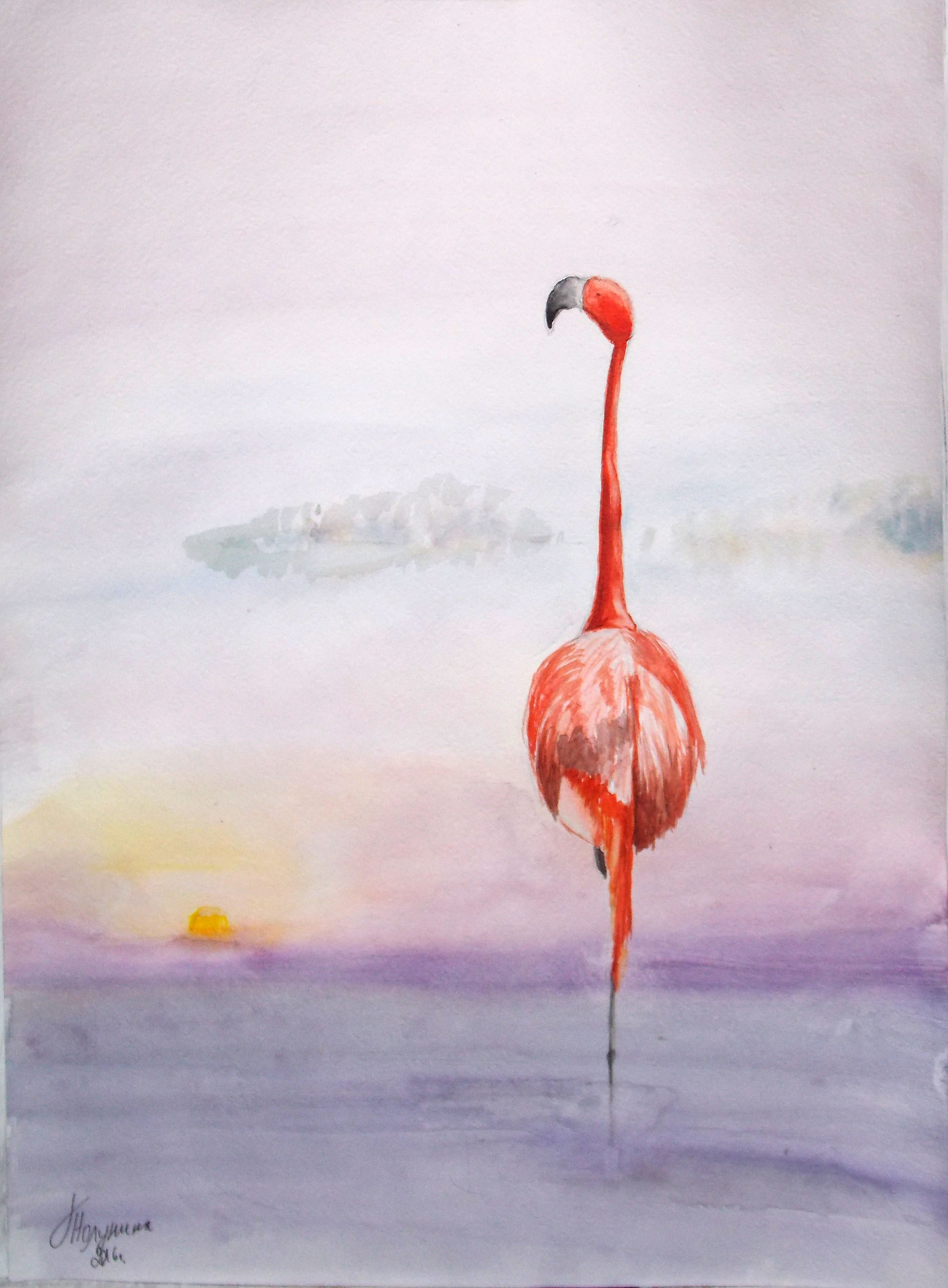 Pink flamingo