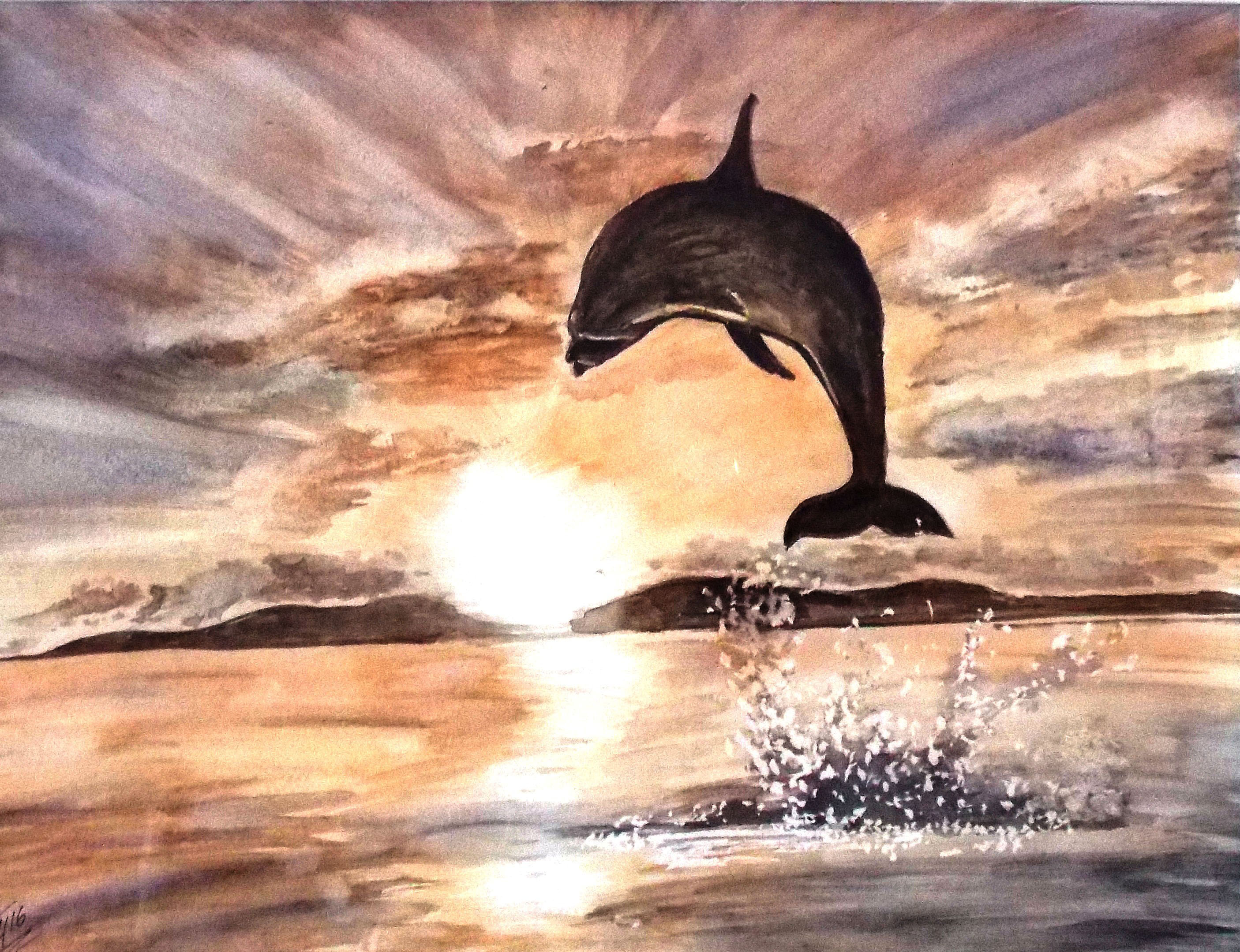 Dolphin