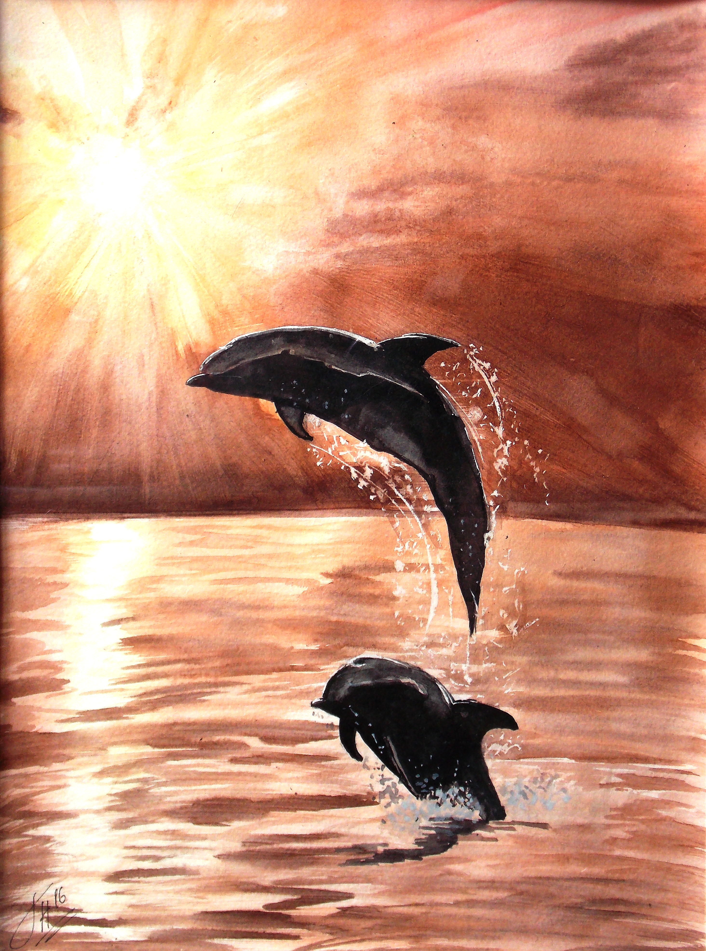 Dolphins