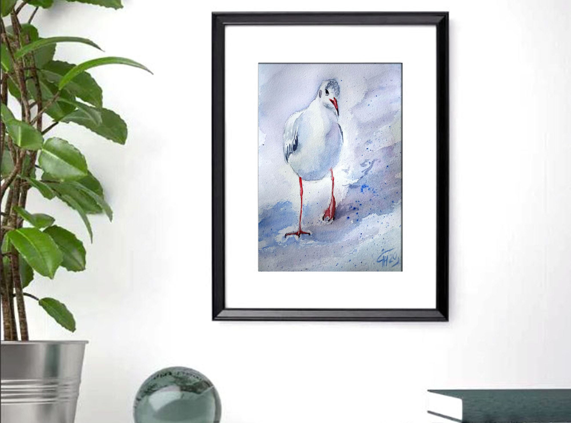 White seagull
