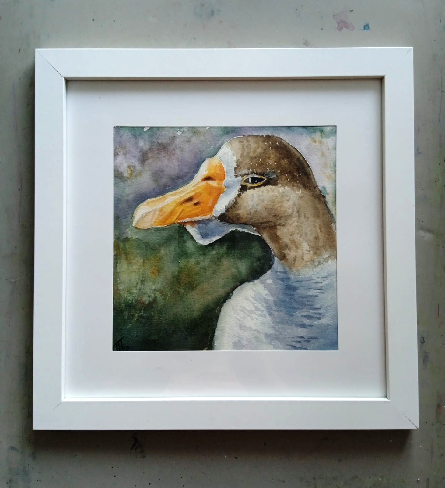 Goose portrait