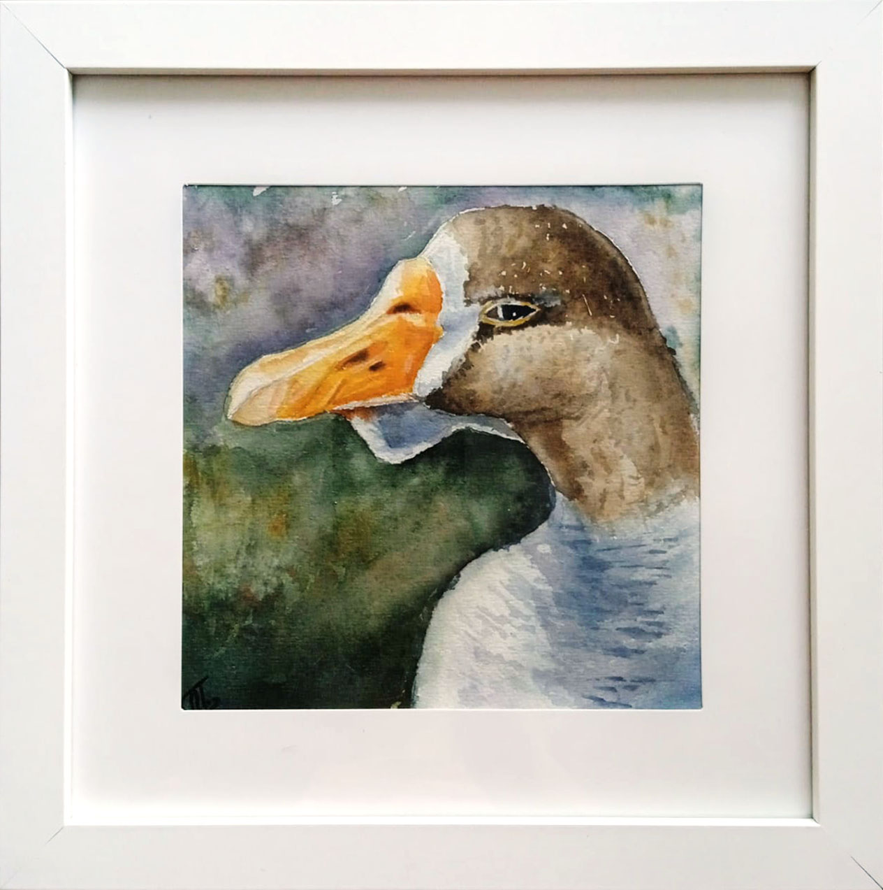 Goose portrait
