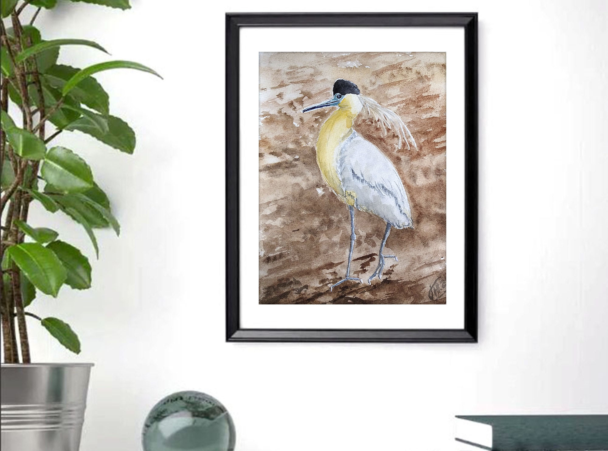 Capped heron