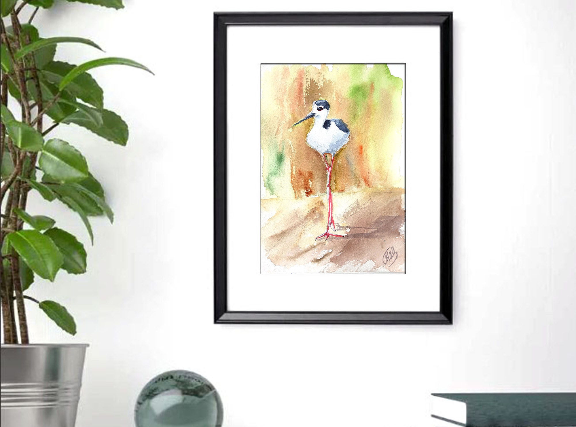 American stilt