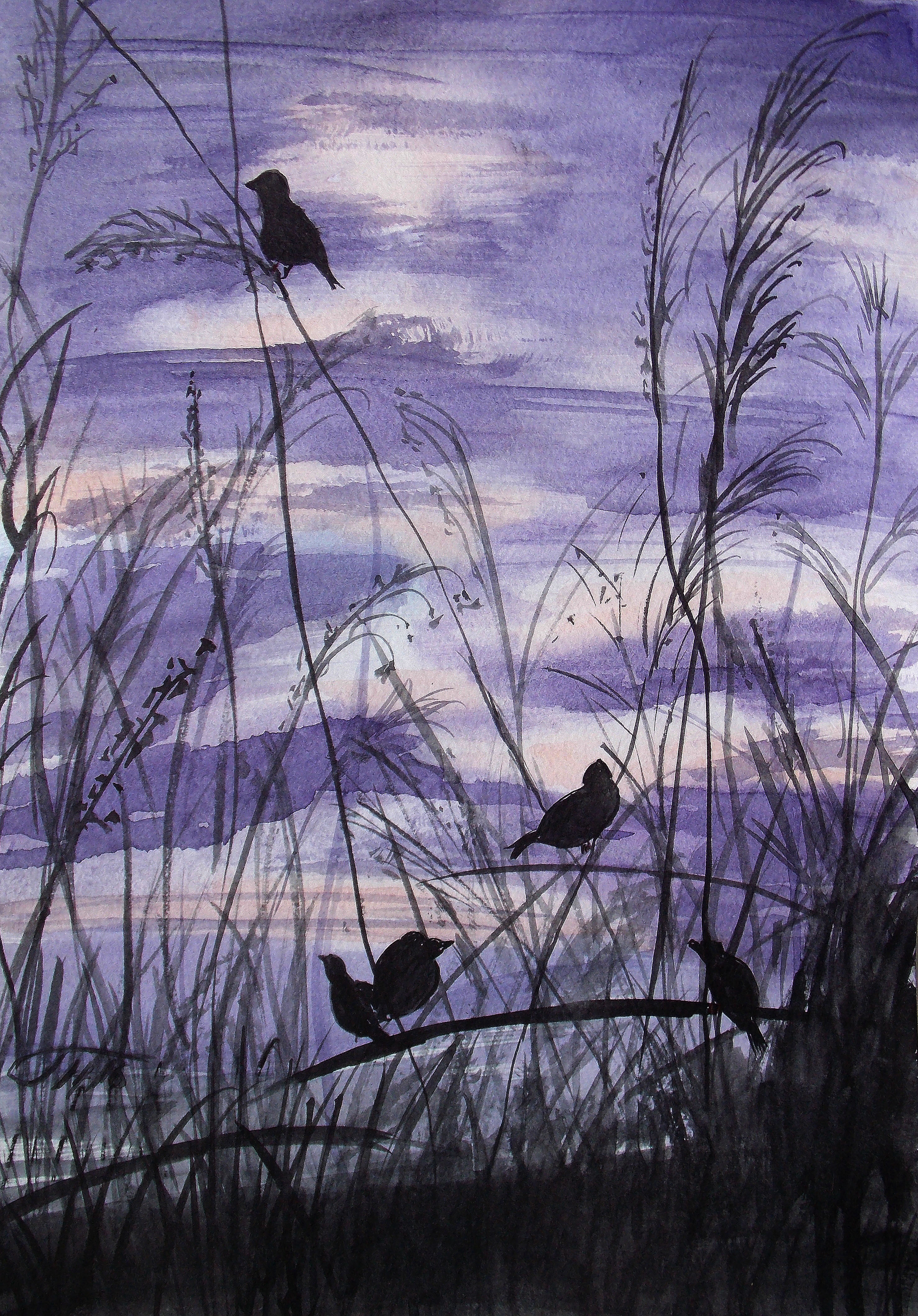 Flock of sparrows at sunset