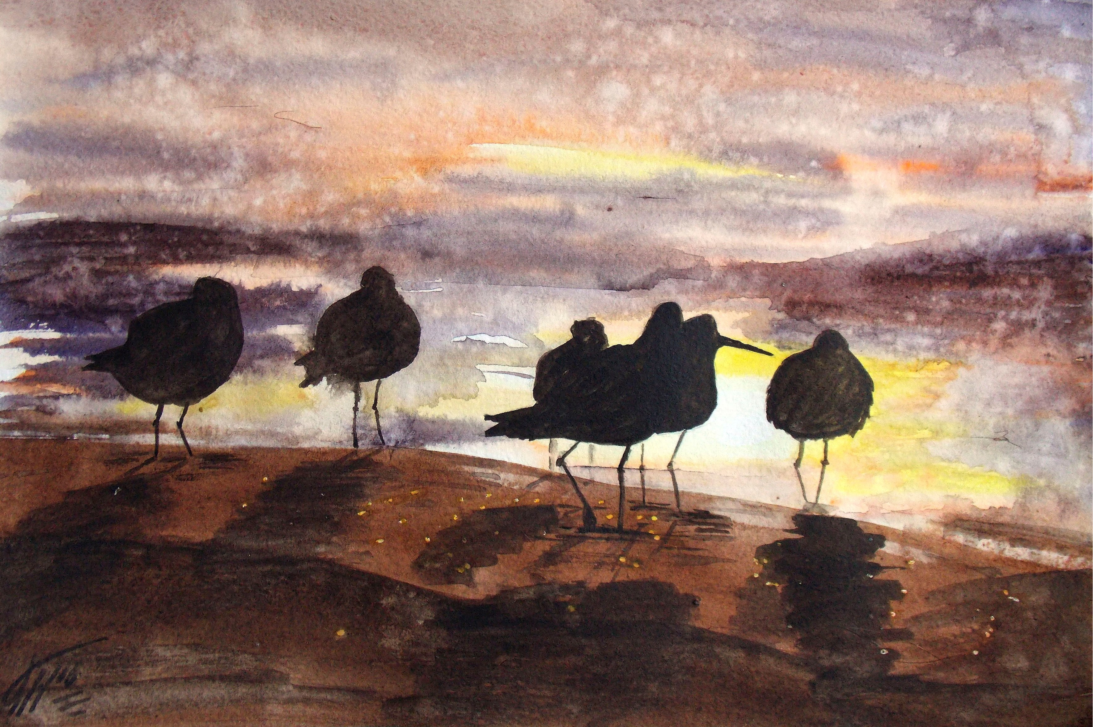 Seagulls on the beach