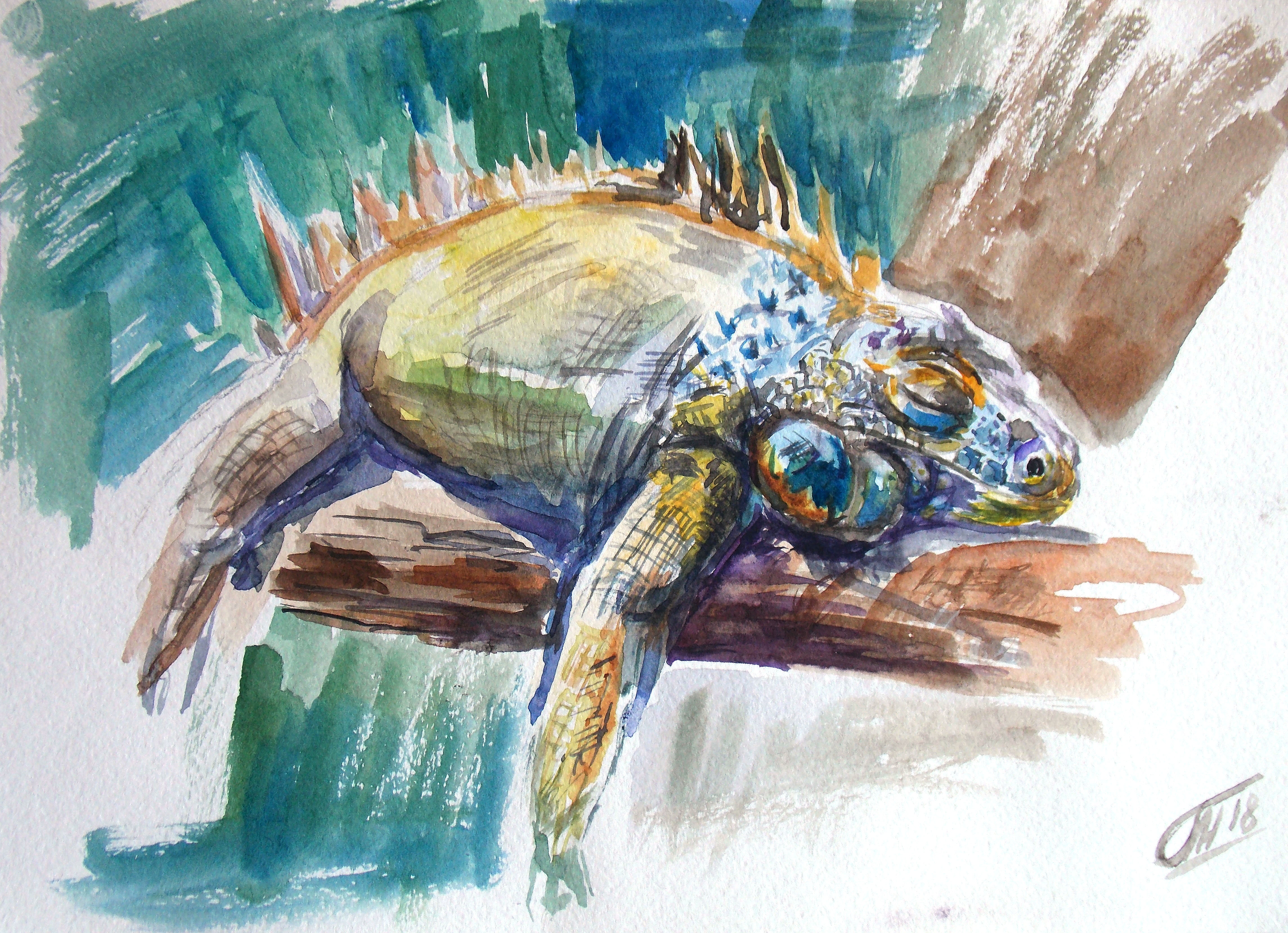 Sleeping chameleon