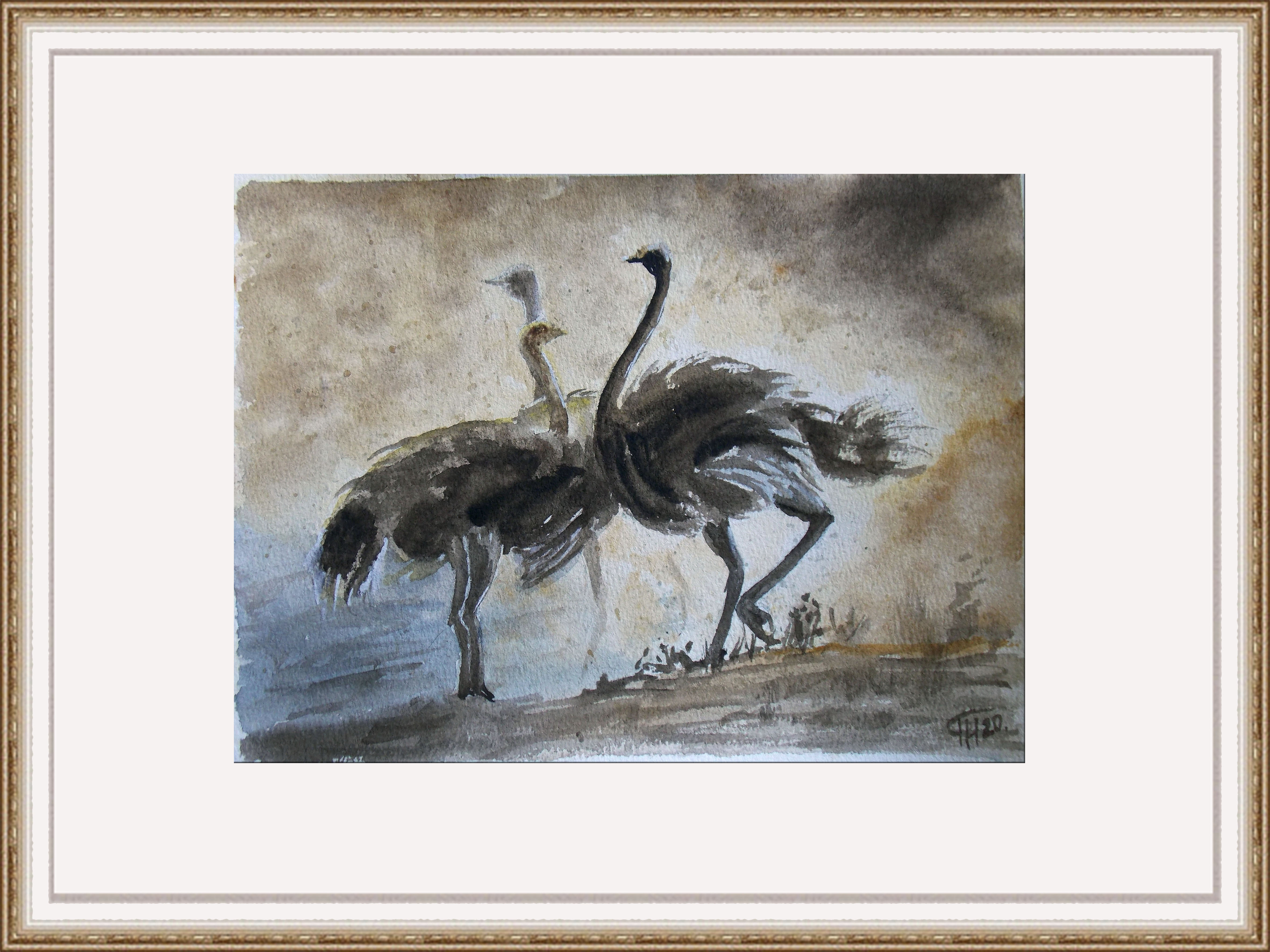 Ostrich dance