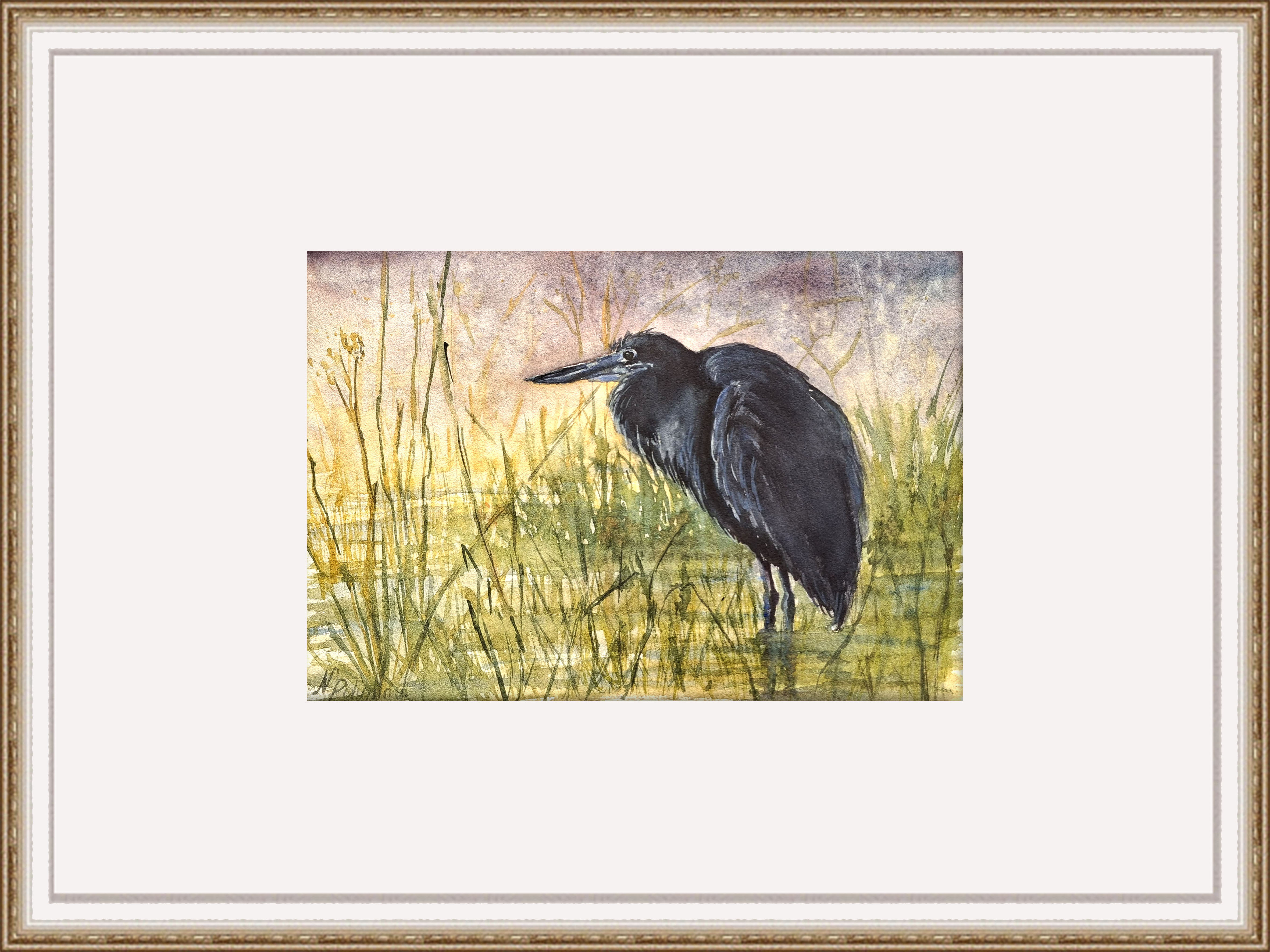Black Heron