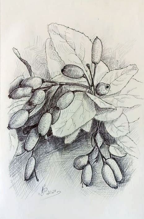 Painting with berries