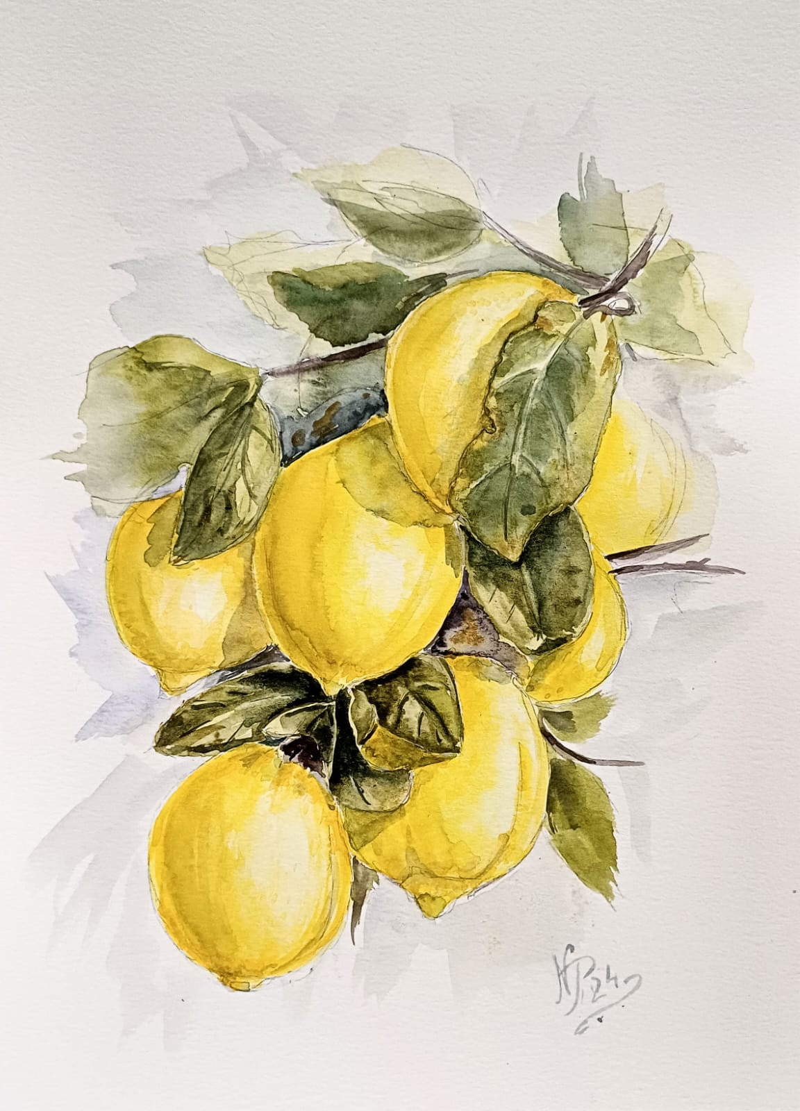 Lemons on a branch