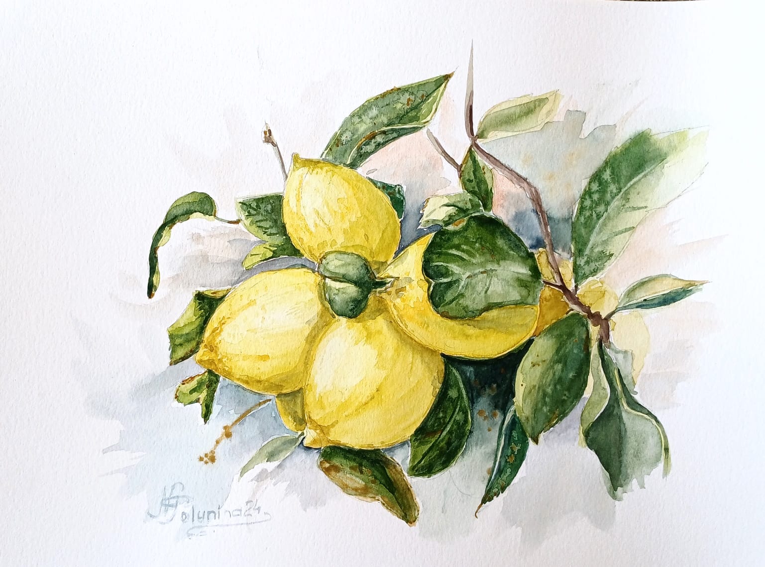 Lemons on a branch