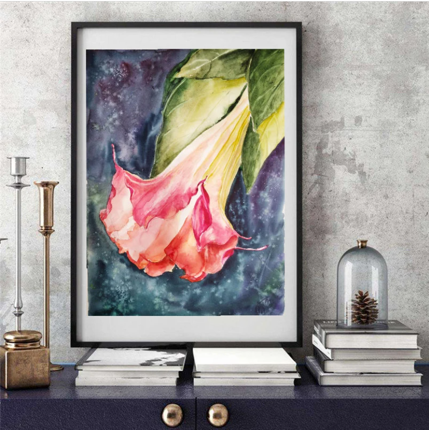 Brugmansia, Angel trumpets