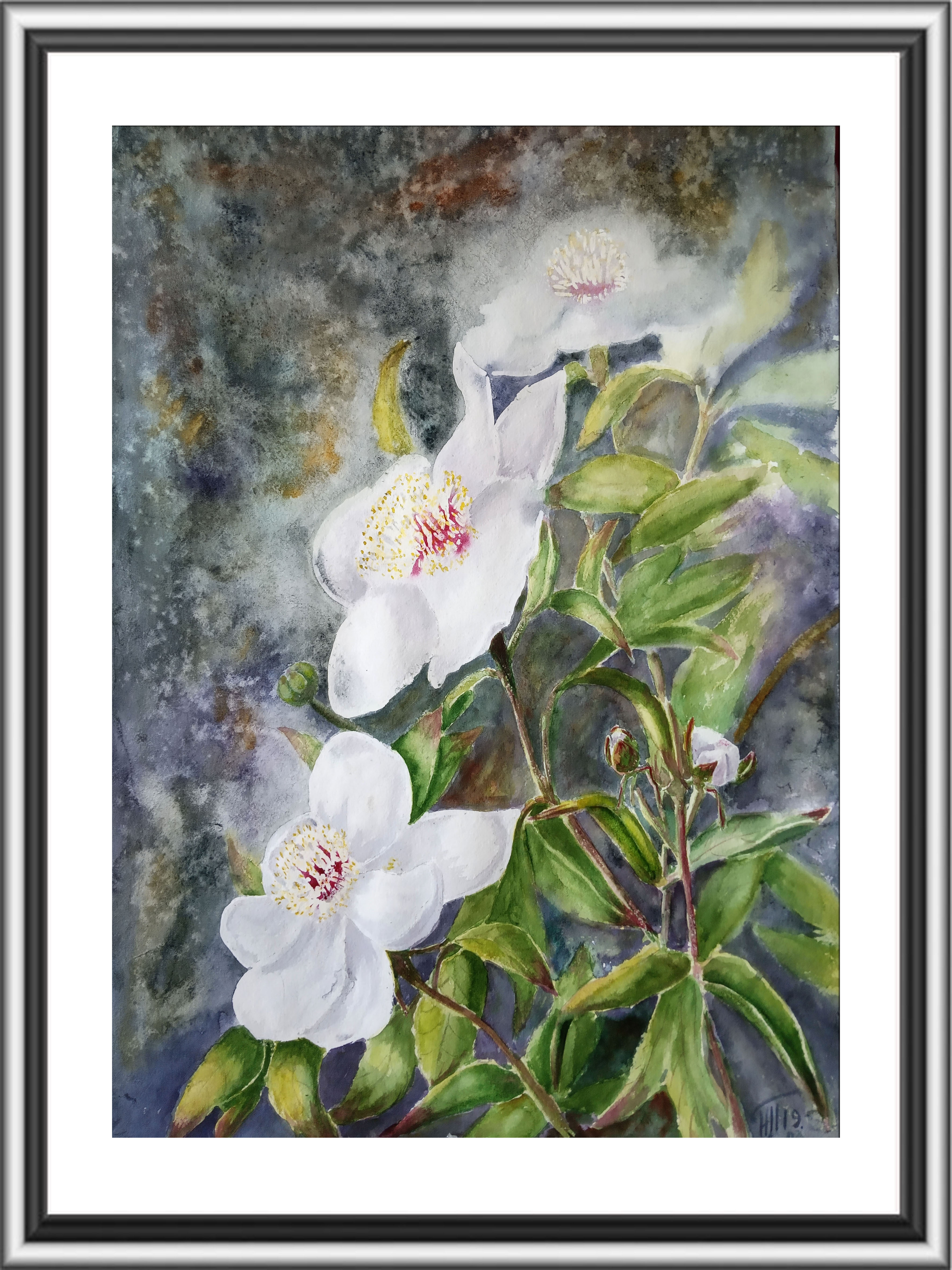White Peonies